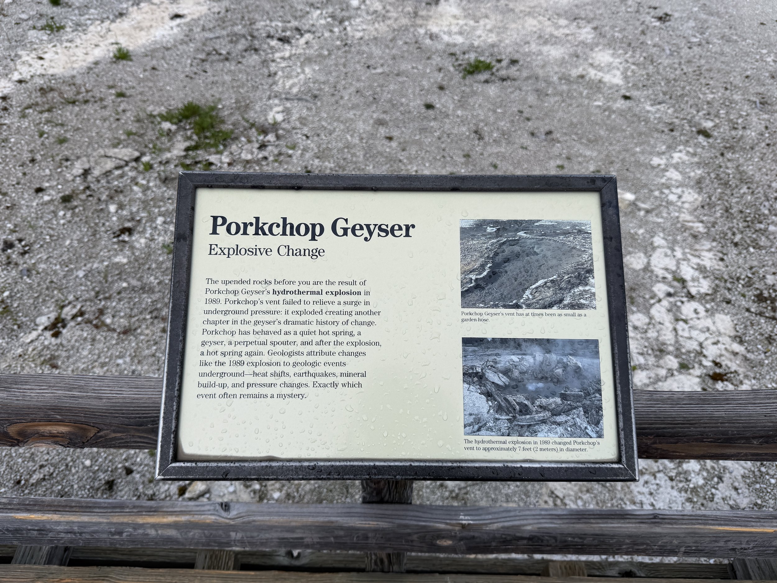 Porkchop Geyser Norris Geyser Basin Trail Yellowstone National Park Wyoming