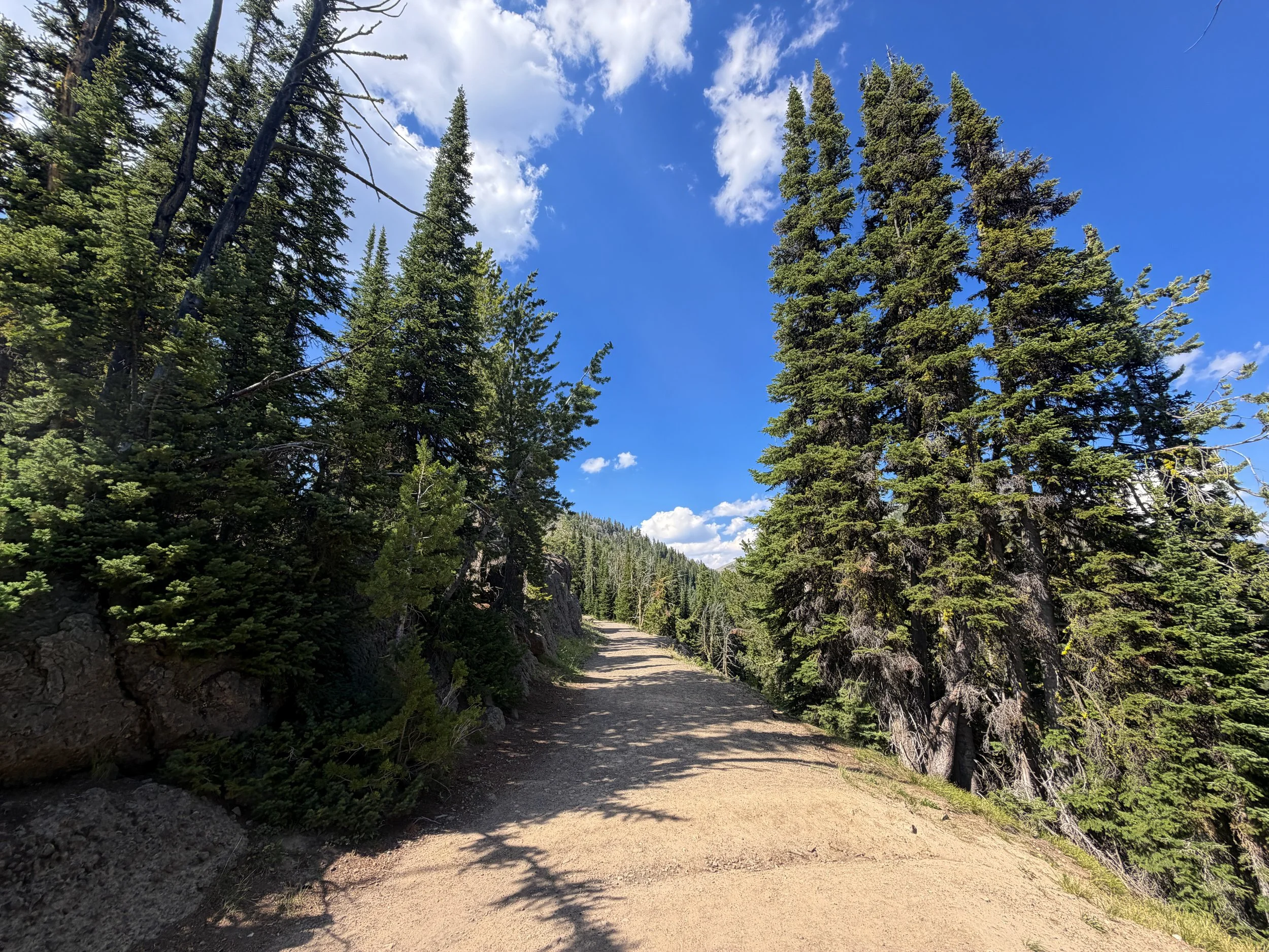 Mt. Washburn Trail via Dunraven Pass Yellowstone National Park Wyoming