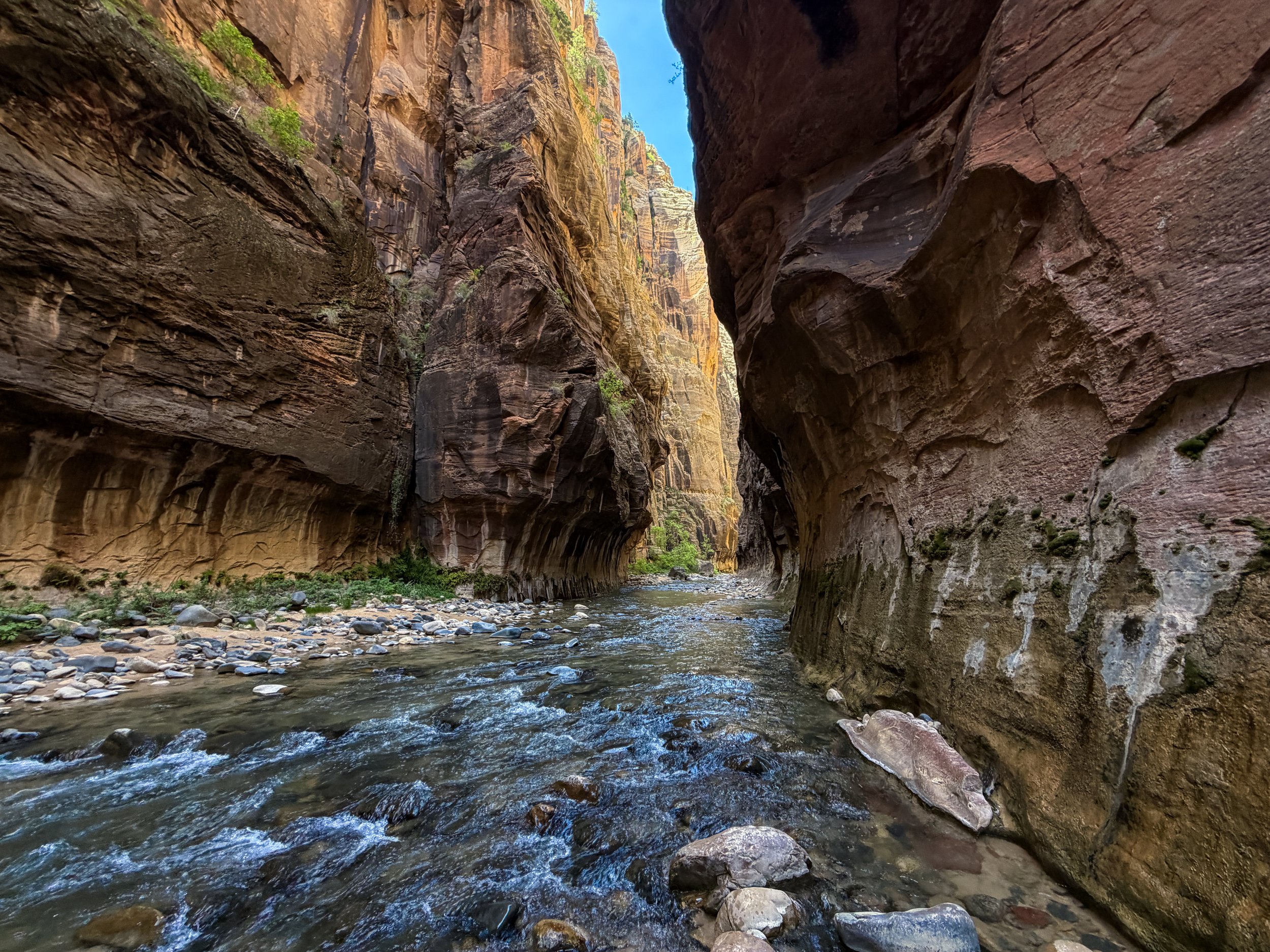 The Narrows Bottom-Up Hike to Big Springs Zion National Park Utah