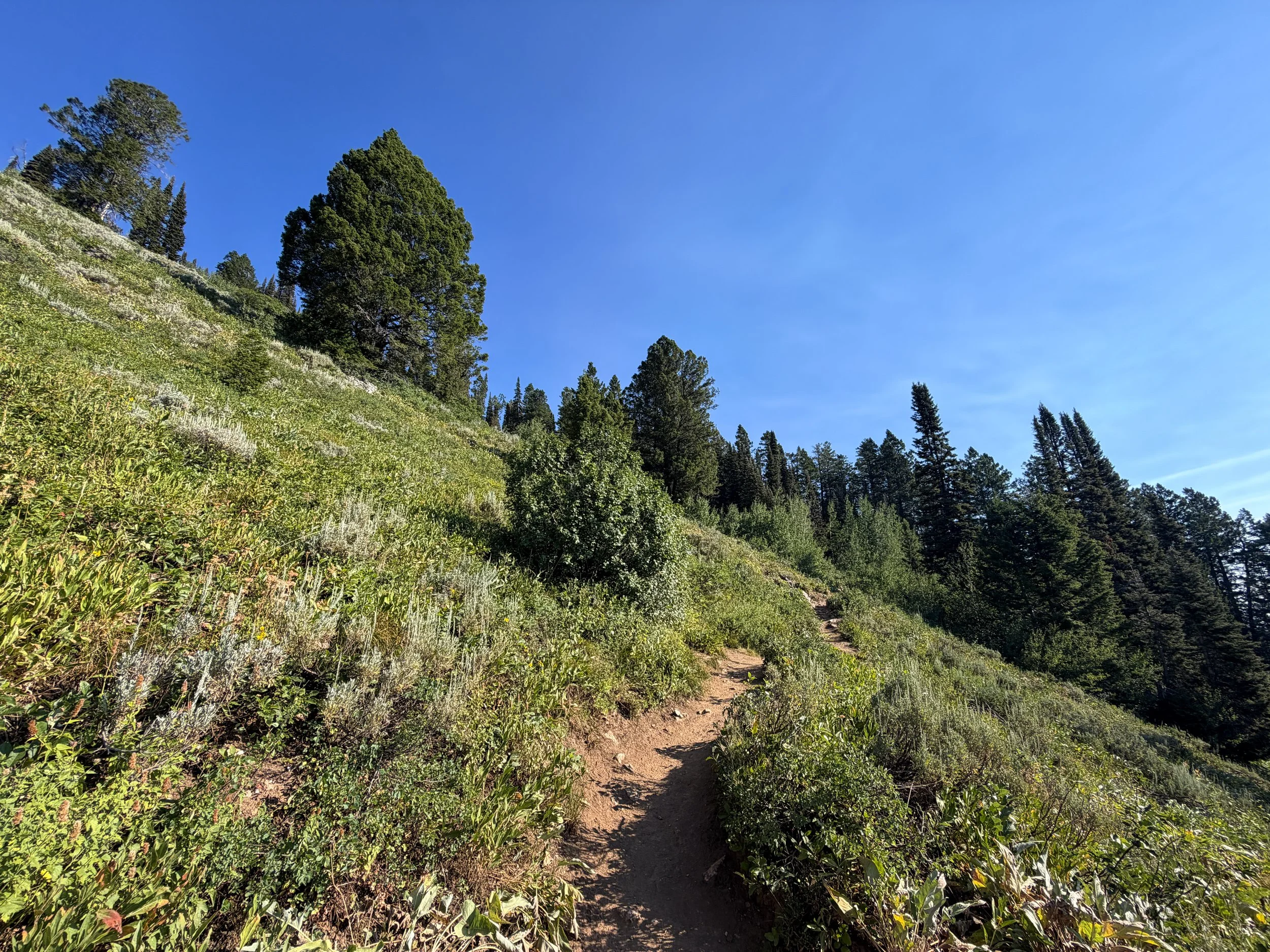 Delta Lake Hike Switchbacks Grand Teton National Park Wyoming