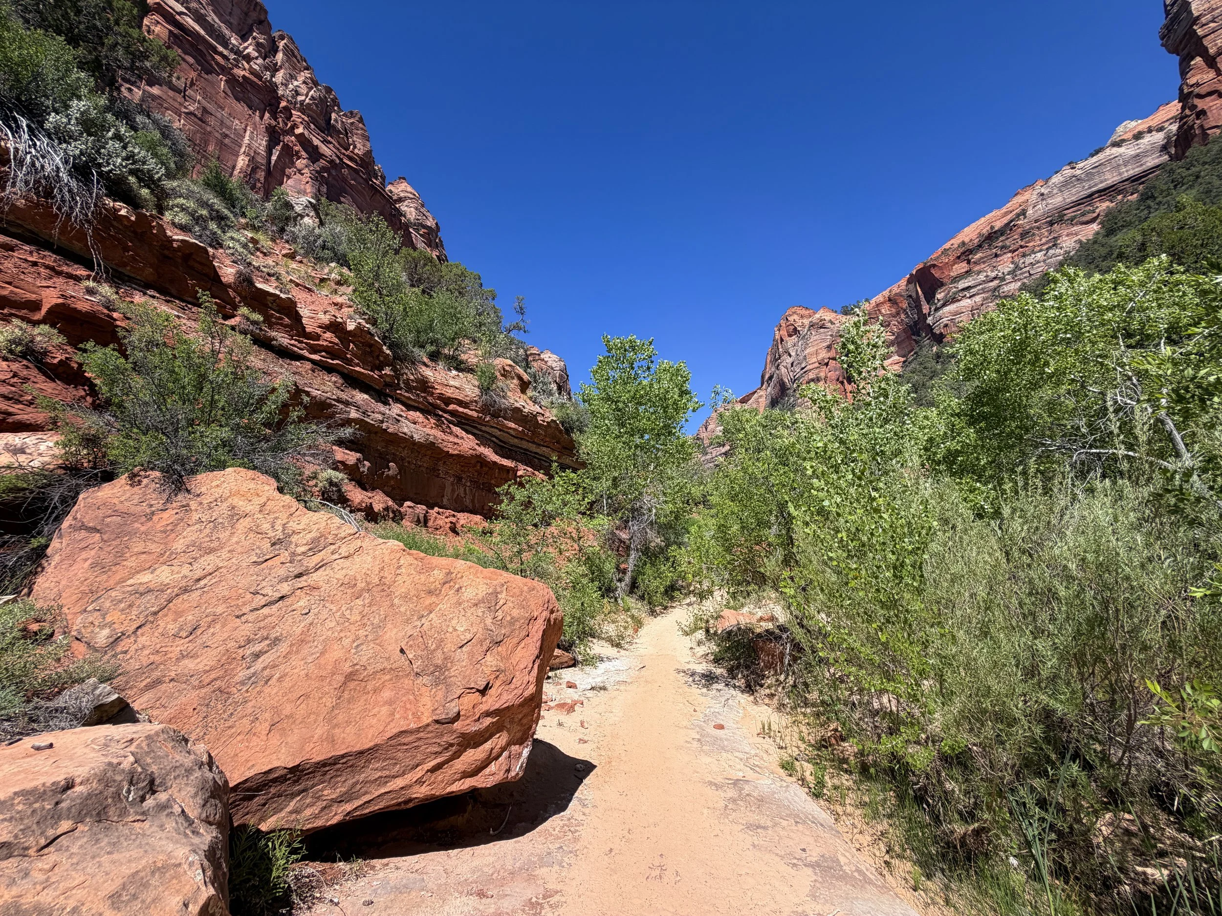 Subway Trail via Left Fork of the North Creek Zion National Park Utah