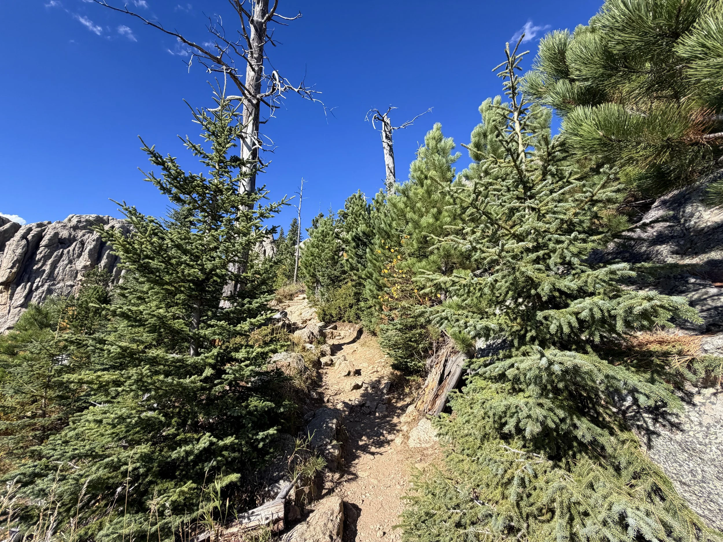 Black Elk Peak Trail Black Hills South Dakota