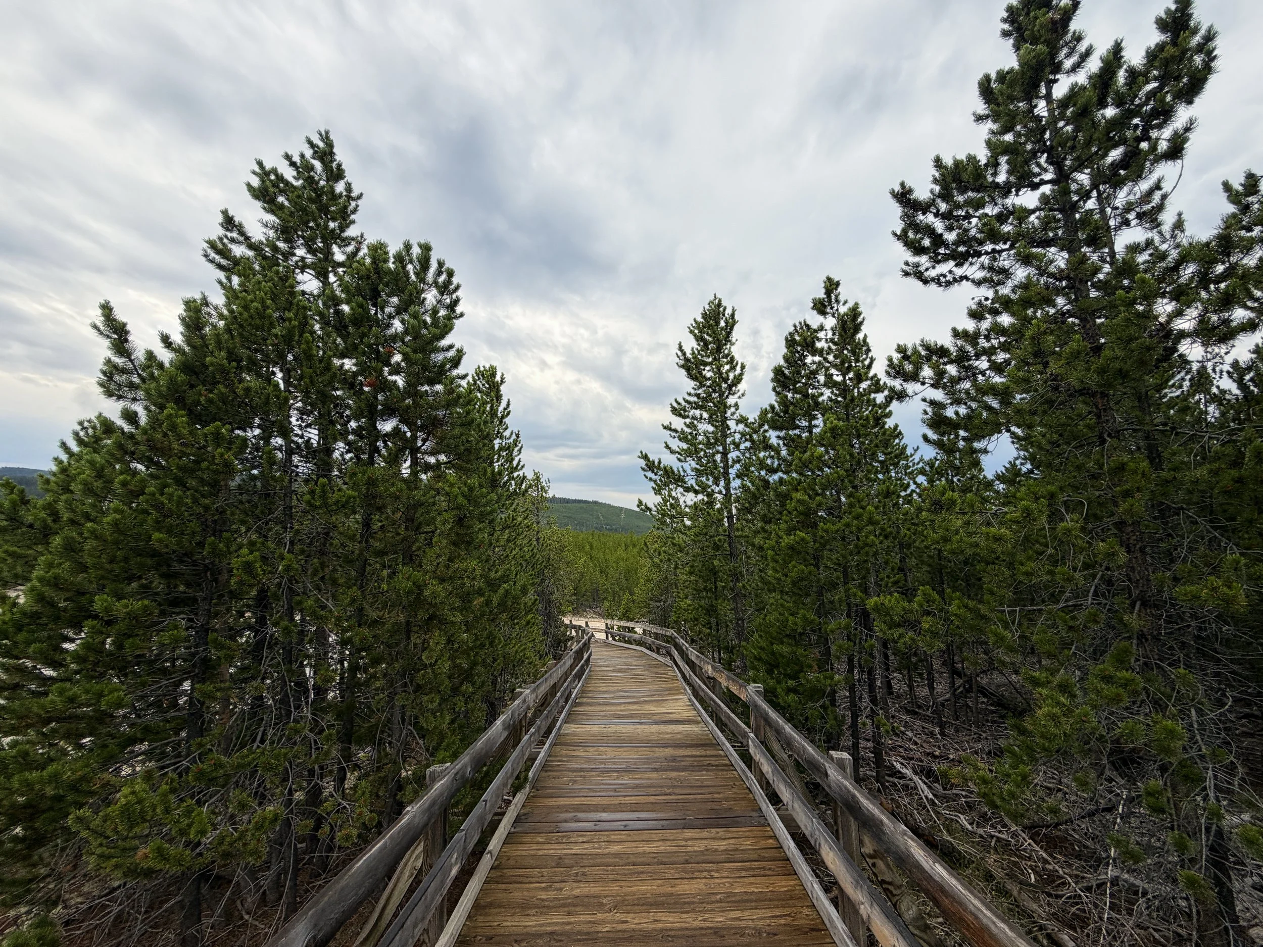 Norris Geyser Basin Trail Yellowstone National Park Wyoming