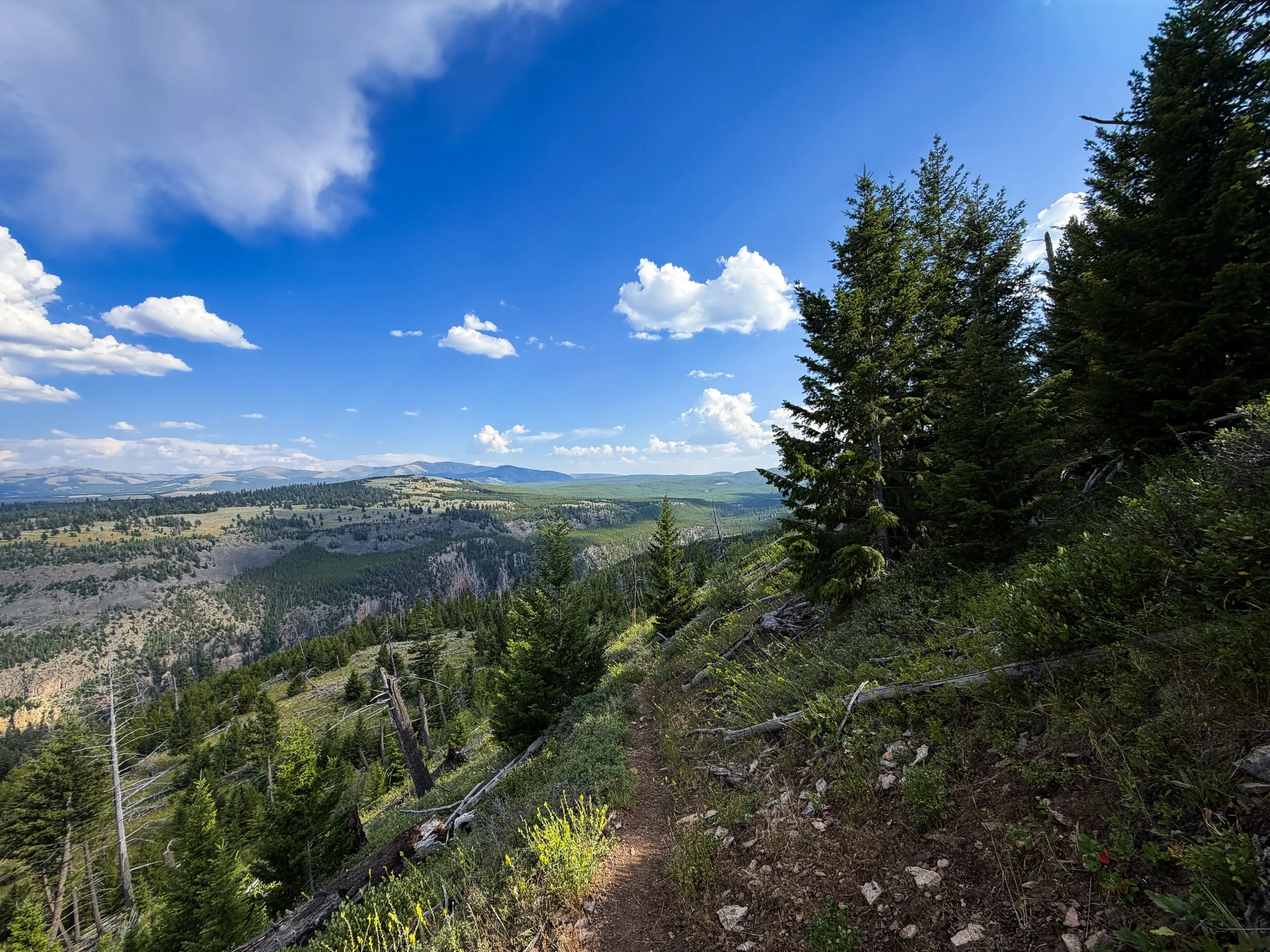 Bunsen Peak Trail Yellowstone National Park Wyoming