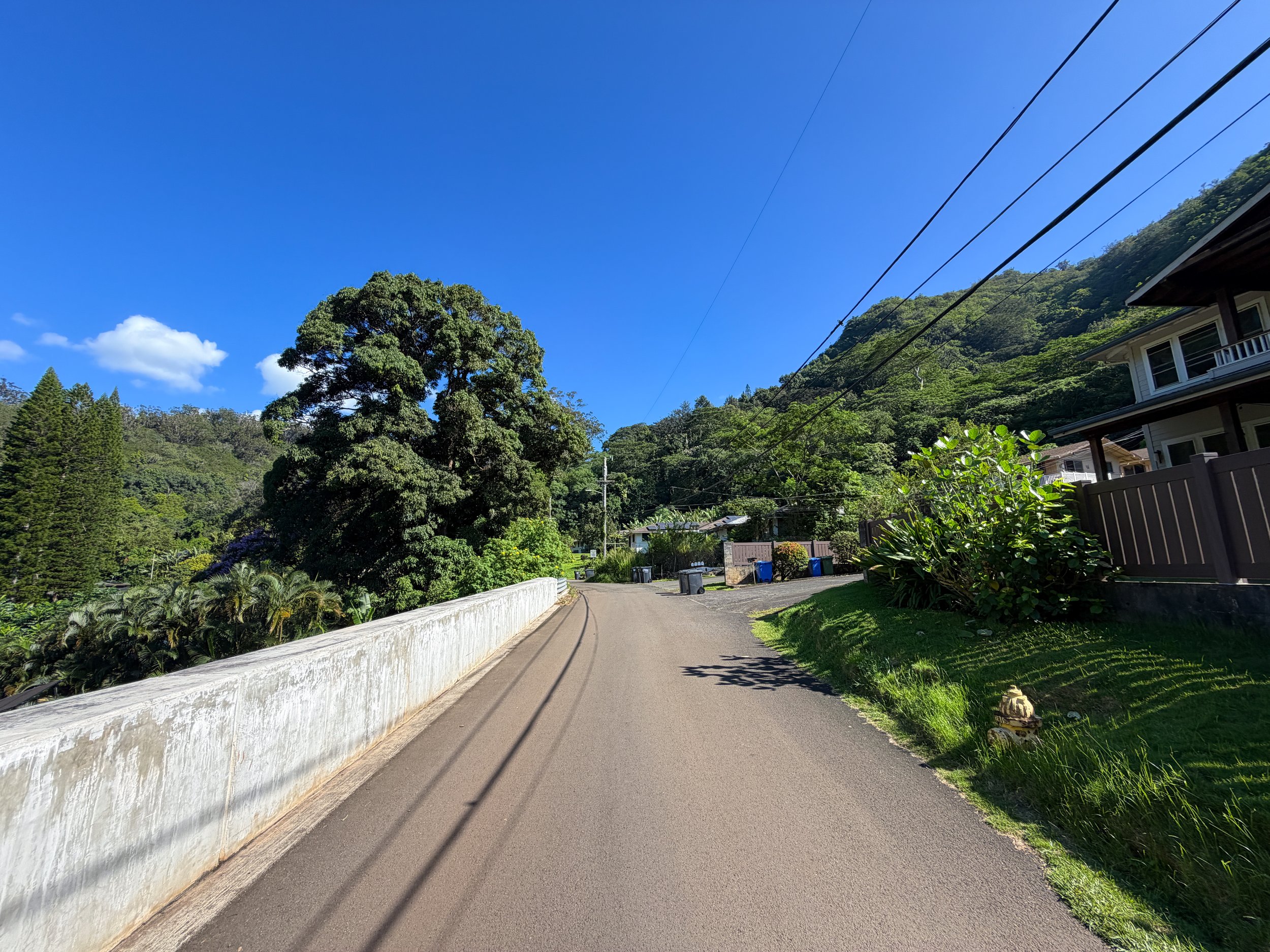 Walking to the Kaau Crater Trailhead Oahu Hawaii