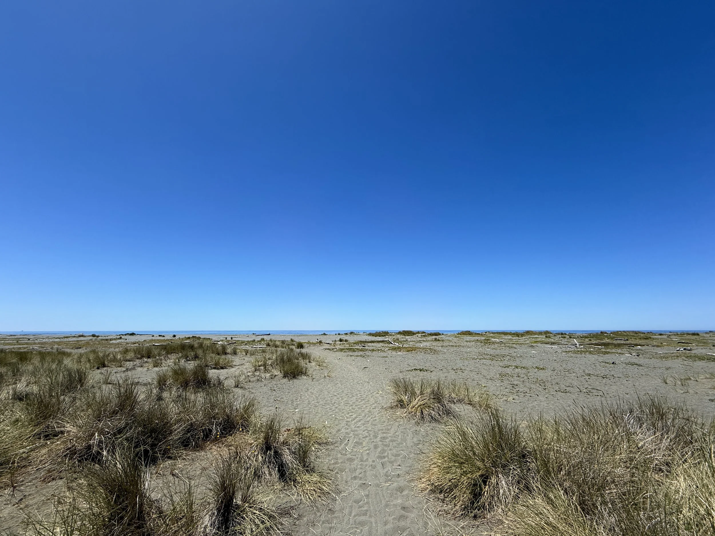 Gold Bluffs Beach Ossagon Trail Prairie Creek Redwoods State Park California