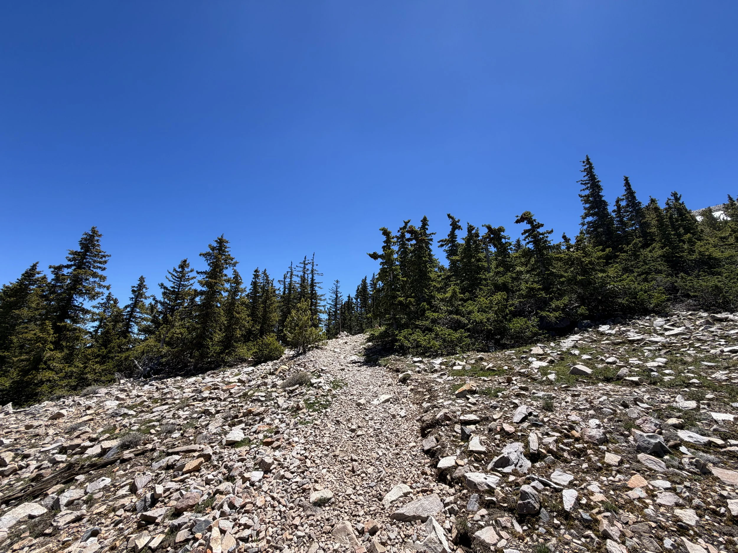 Wheeler Peak Summit Trail Great Basin National Park Nevada