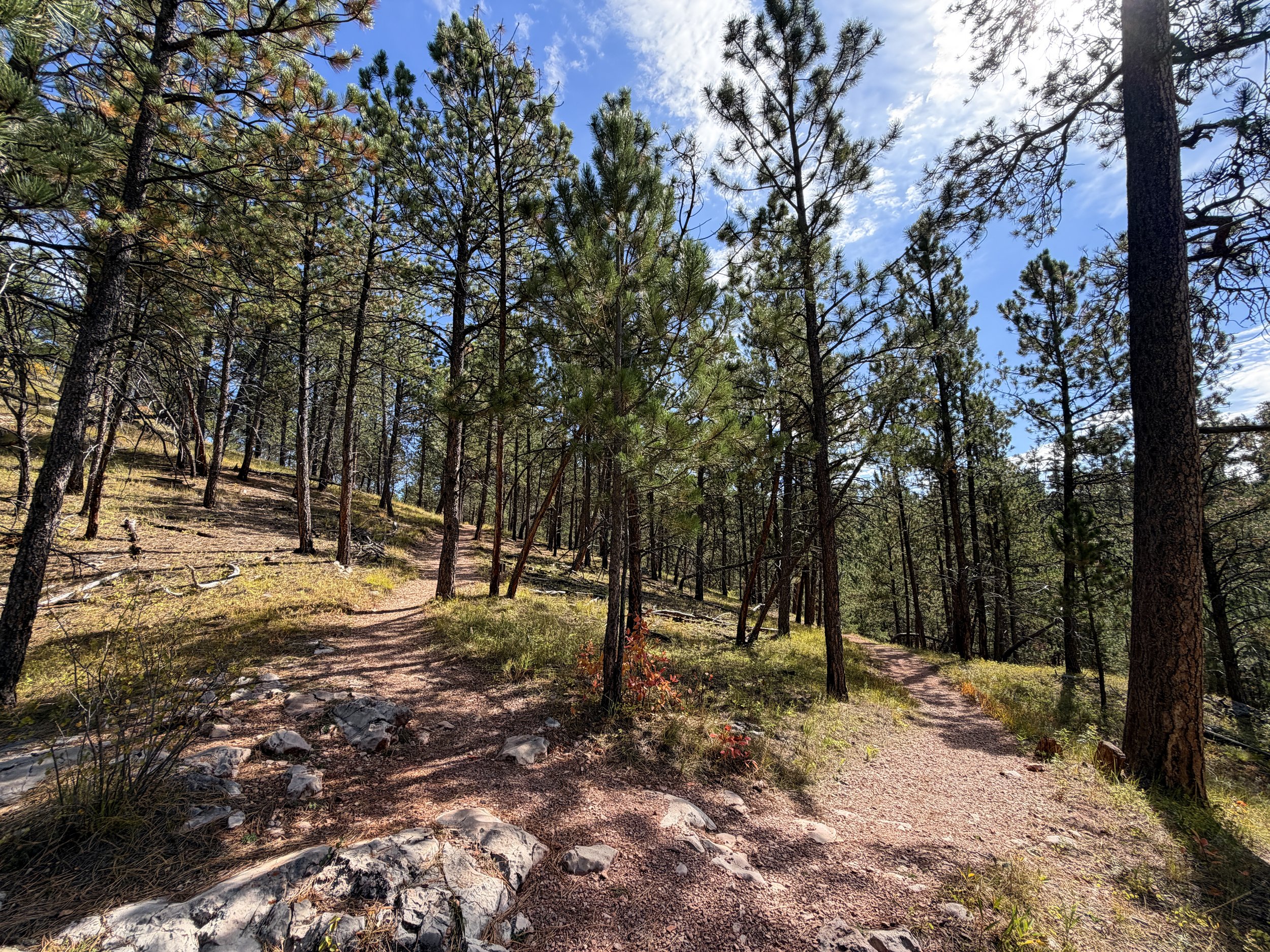 Canyons Trail Switchbacks Jewel Cave National Monument Black Hills South Dakota