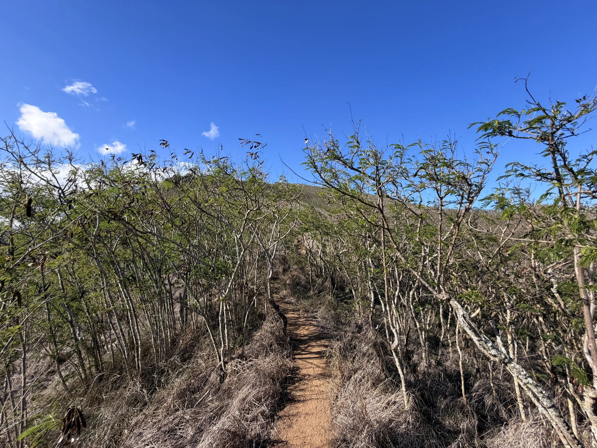 Back Way Lanikai Pillbox Trail Oahu Hawaii