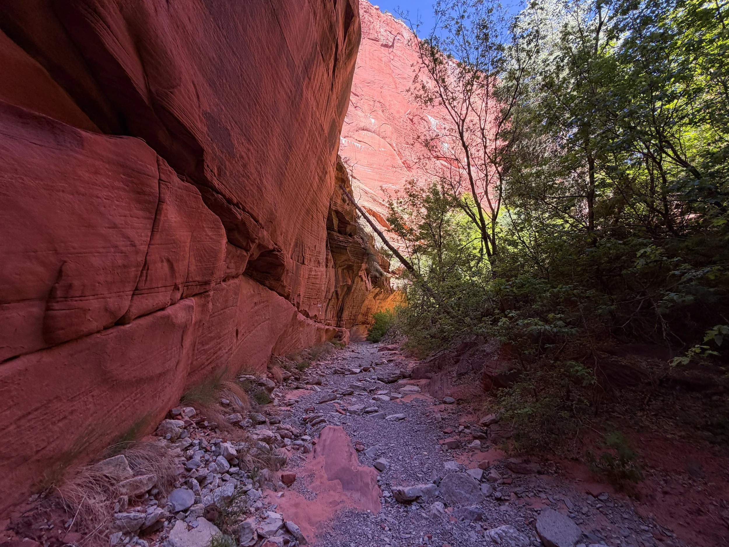 Taylor Creek Trail Zion National Park Utah
