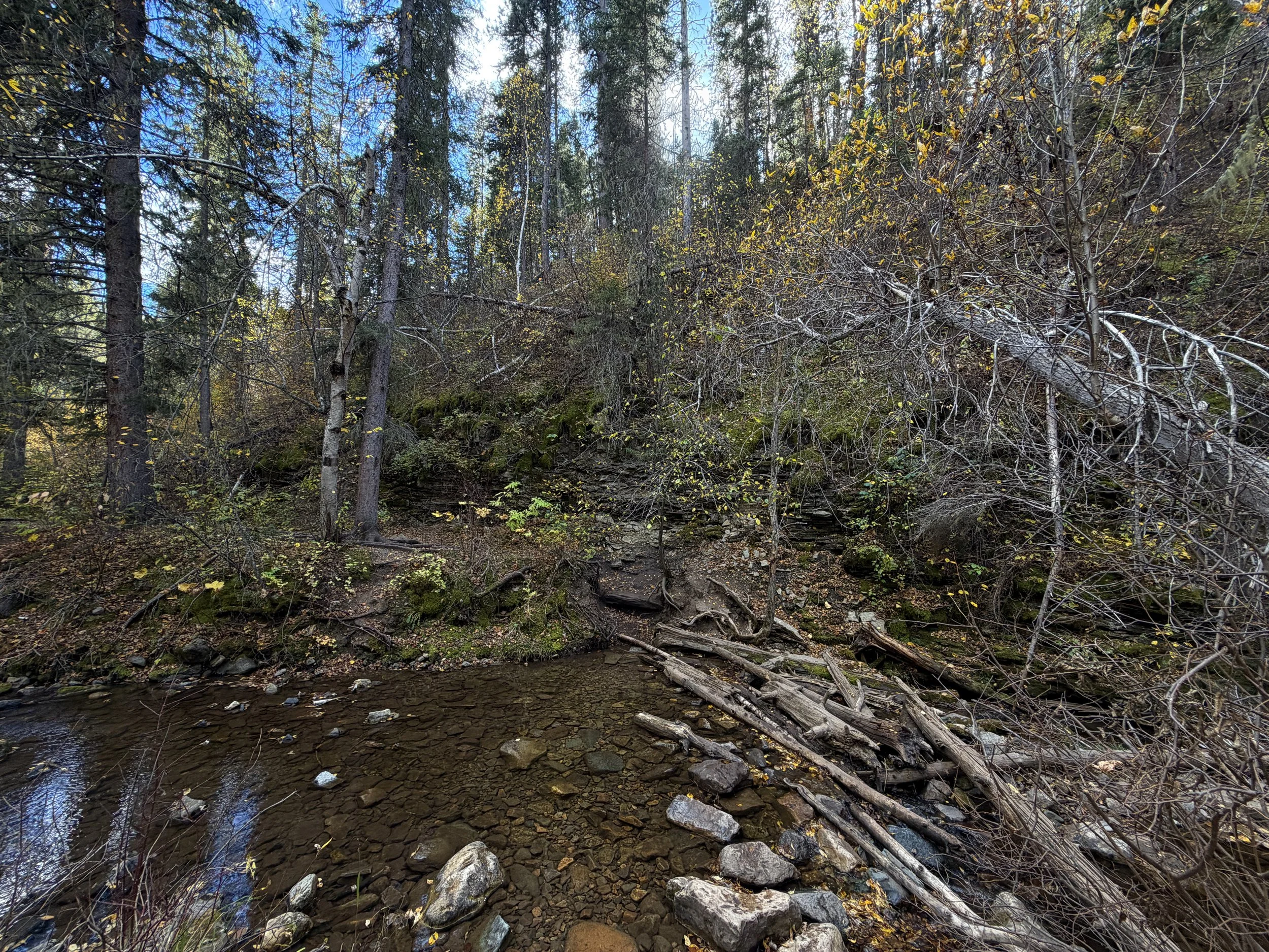 Devils Bathtub Hike Spearfish Canyon Black Hills South Dakota