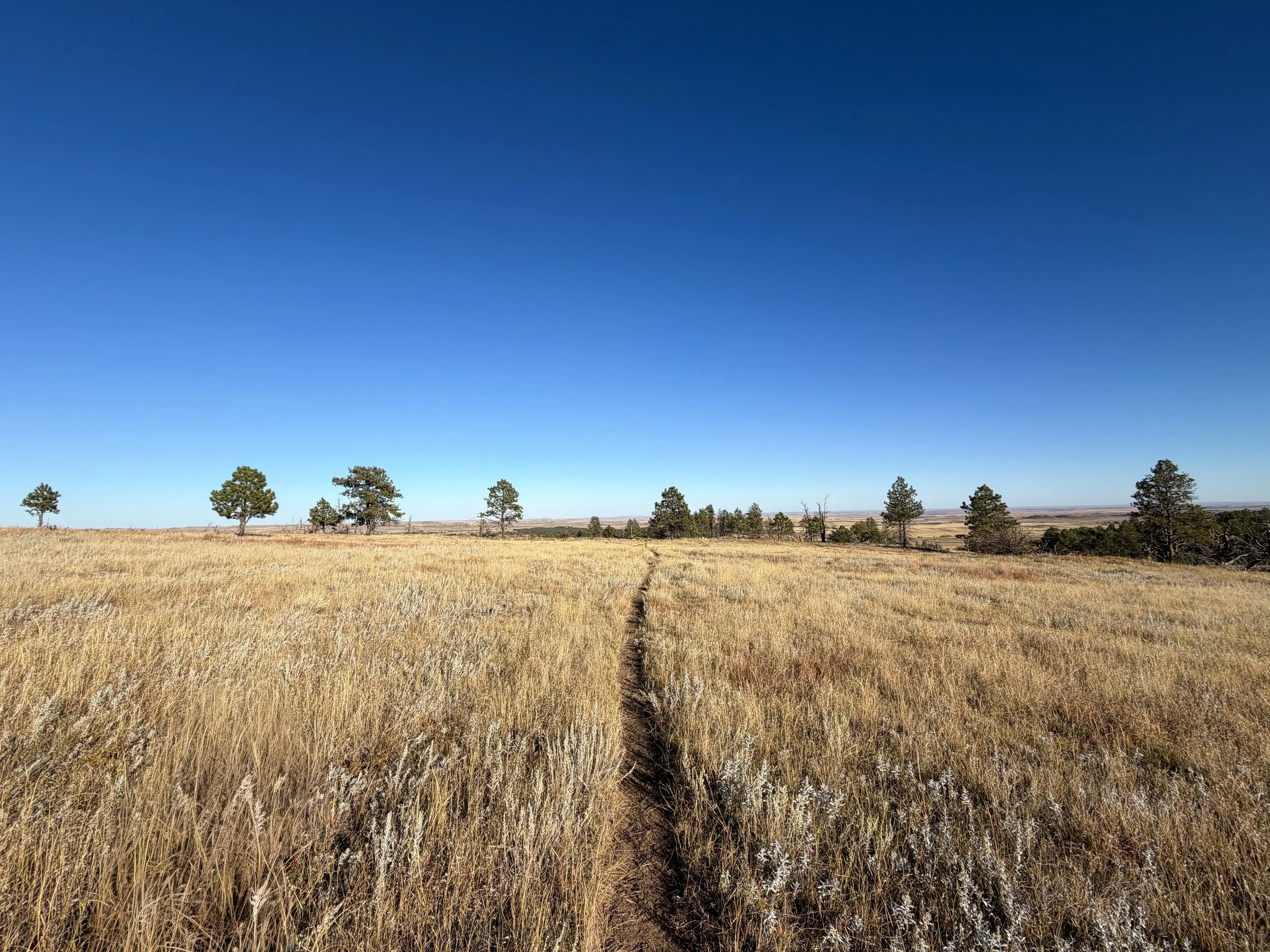 Boland Ridge Hike Wind Cave National Park South Dakota