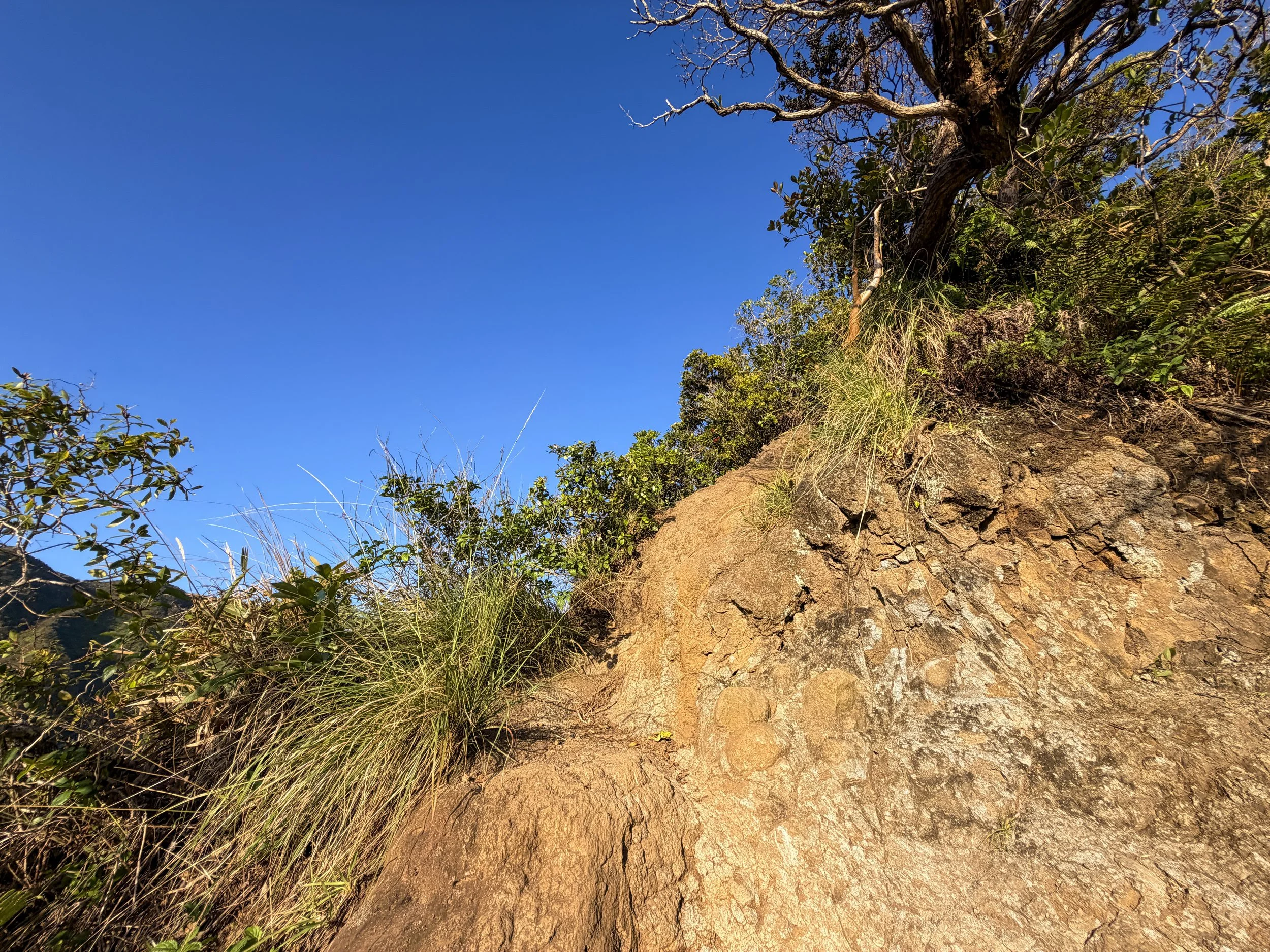 Back Way to Stairway to Heaven Moanalua Middle Ridge Hike Oahu Hawaii