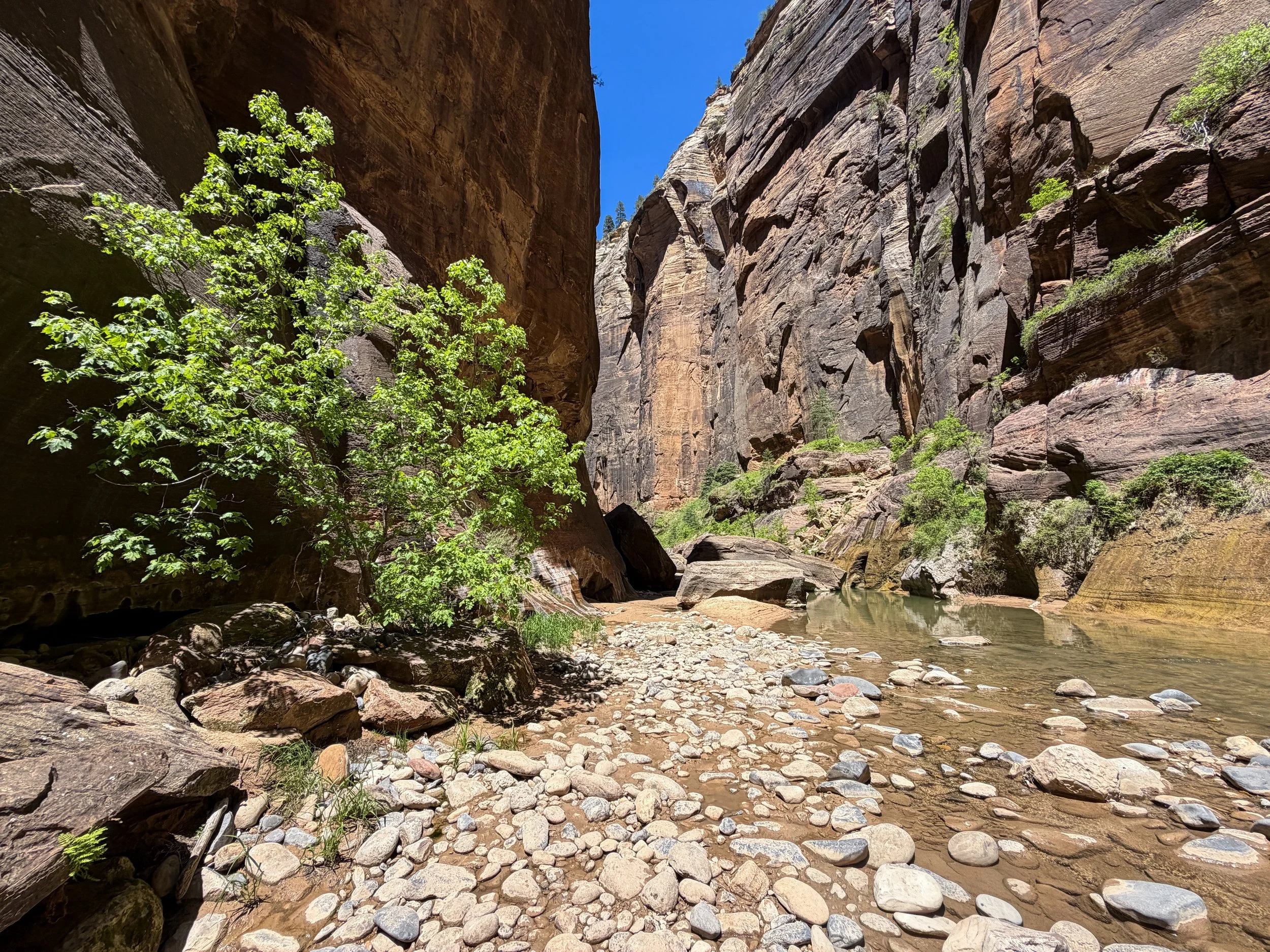 Narrows Bottom-Up to Big Springs Zion National Park Utah
