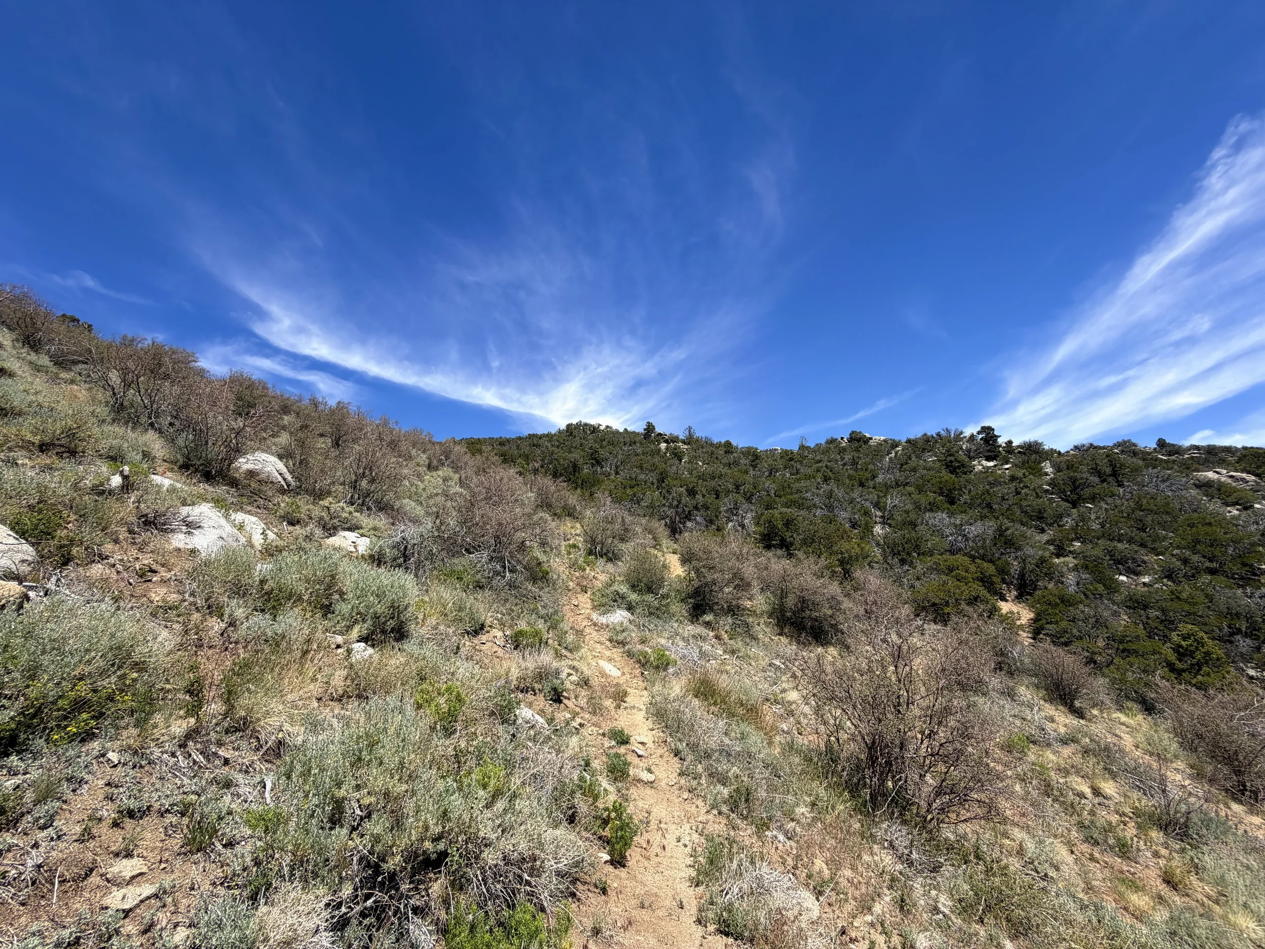 Serviceberry Trail Great Basin National Park Nevada