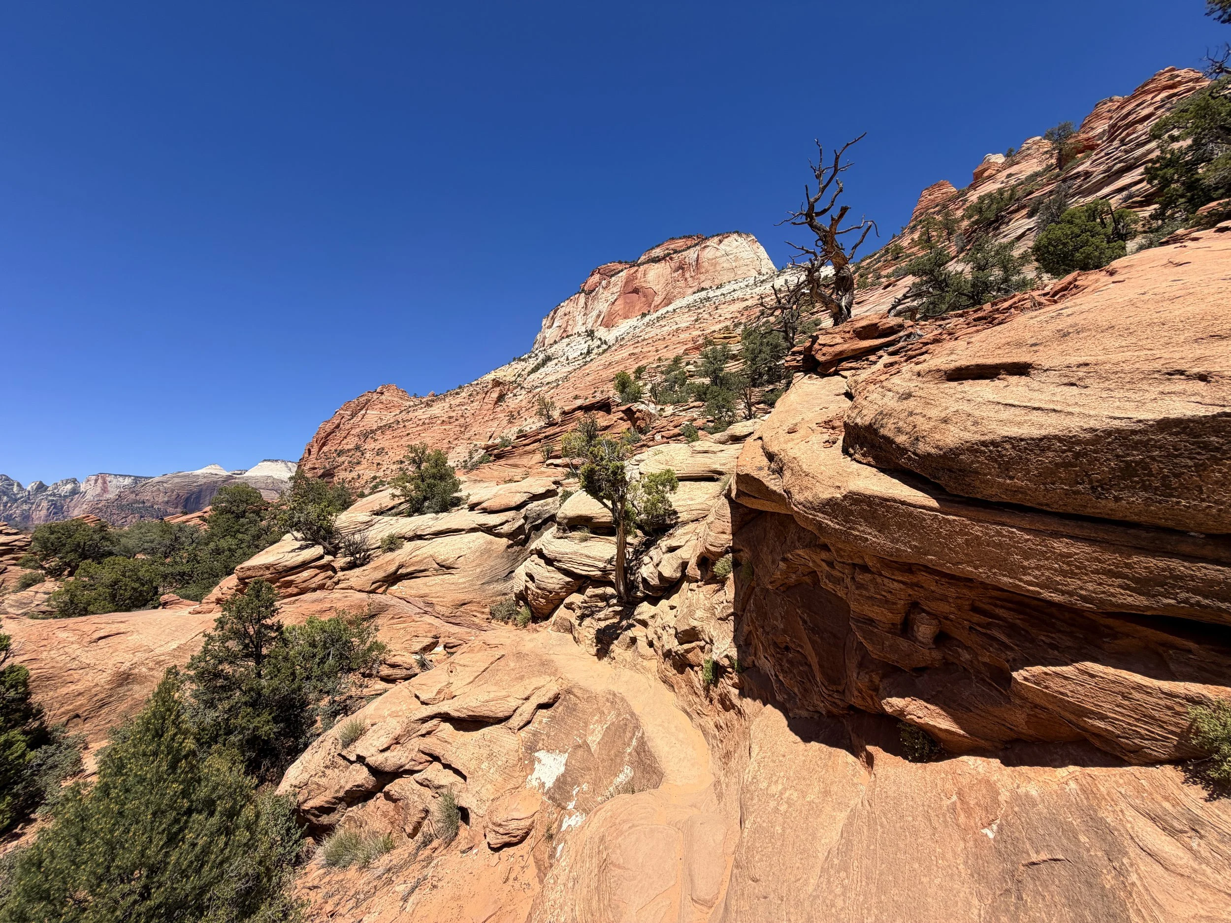 Canyon Overlook Trail Zion National Park Utah