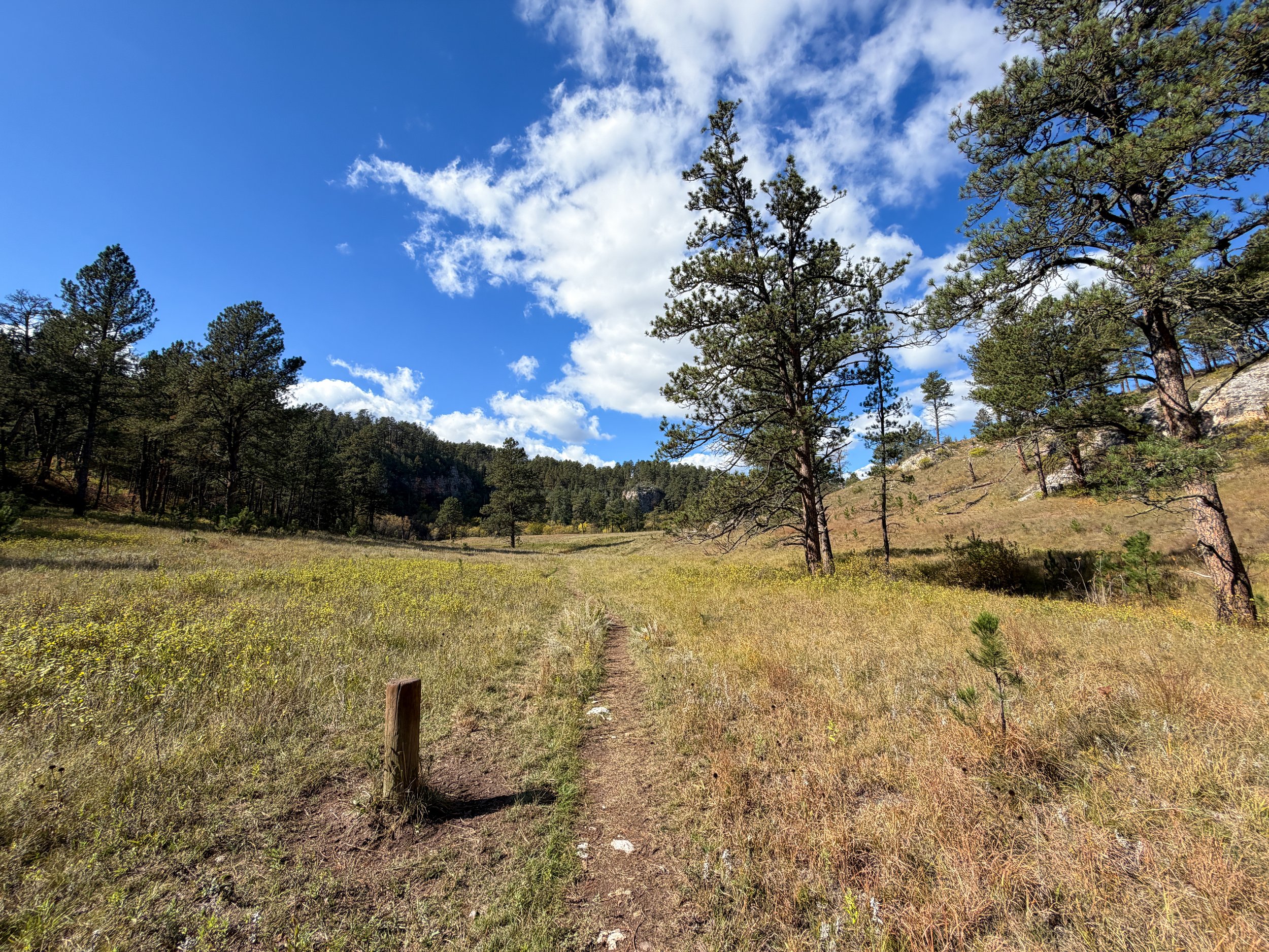 Lookout Point Loop Trail Wind Cave National Park South Dakota