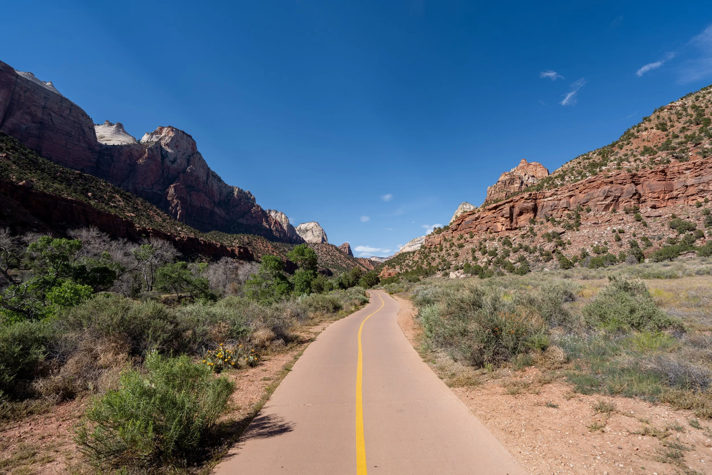 Parus Trail Zion National Park