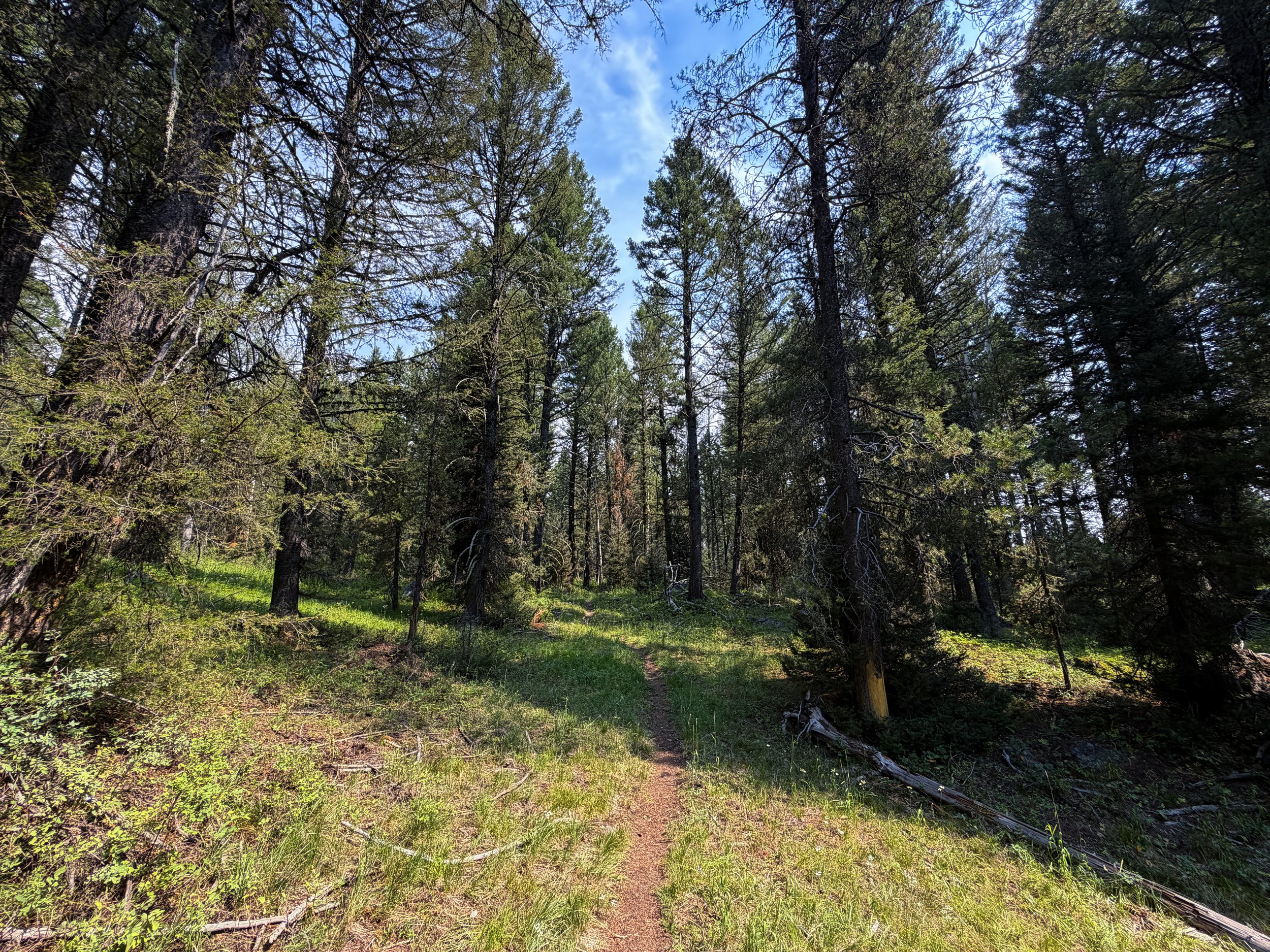 Boulder Ridge Loop Trail Grand Teton National Park Wyoming
