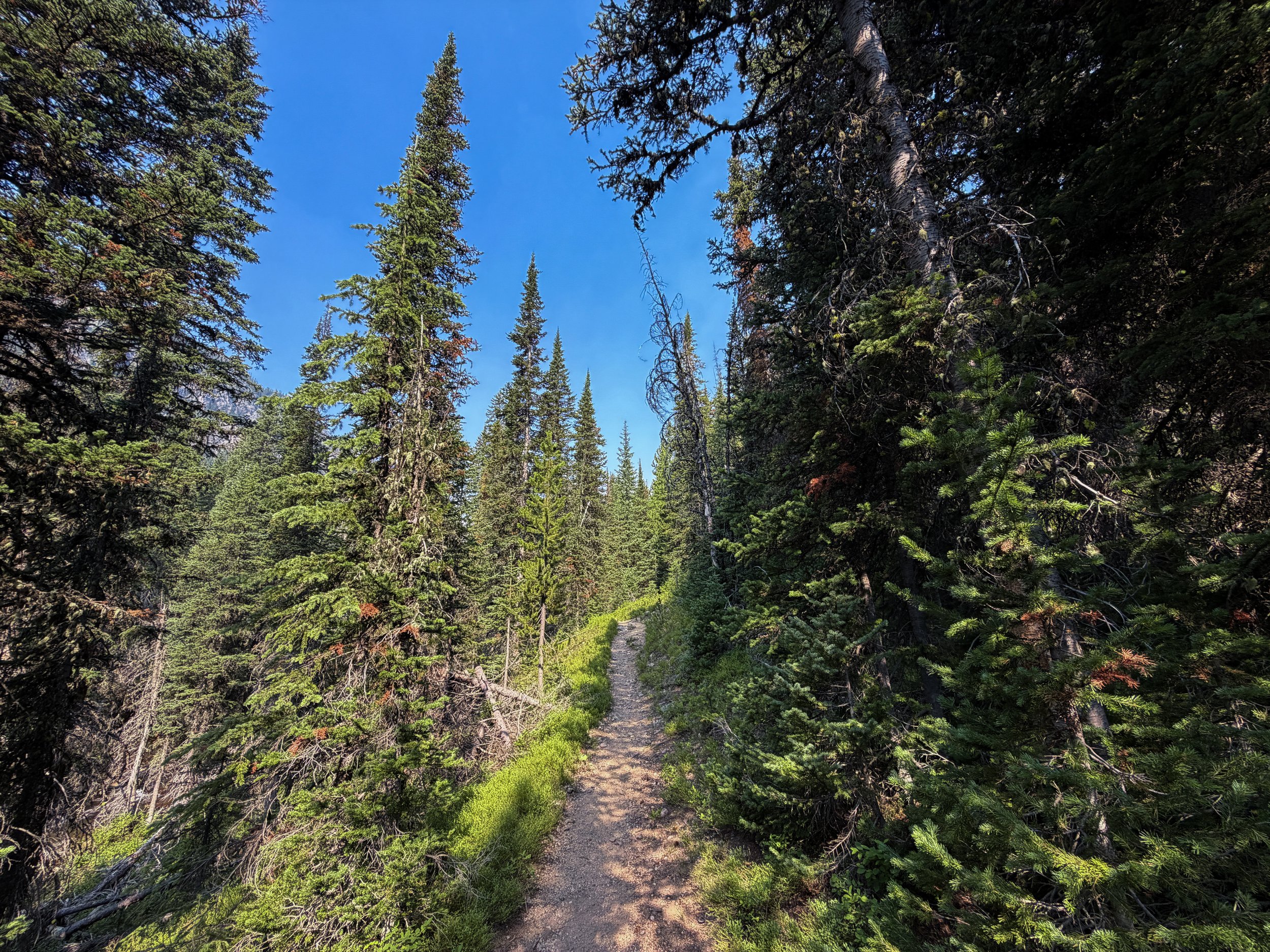 East Rosebud Trail The Beaten Path Beartooth Mountains Montana