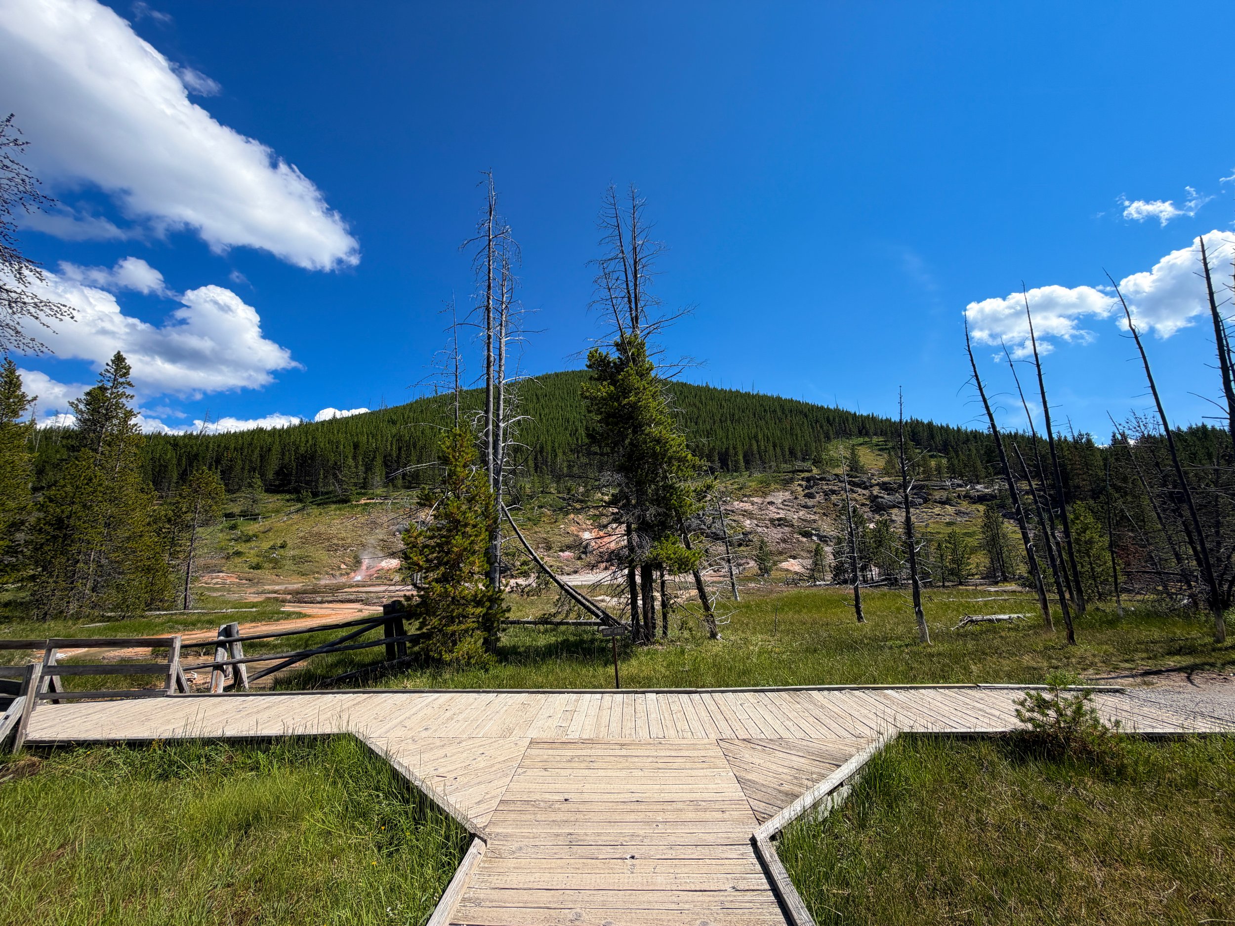 Artists Paintpots Trail Yellowstone National Park Wyoming