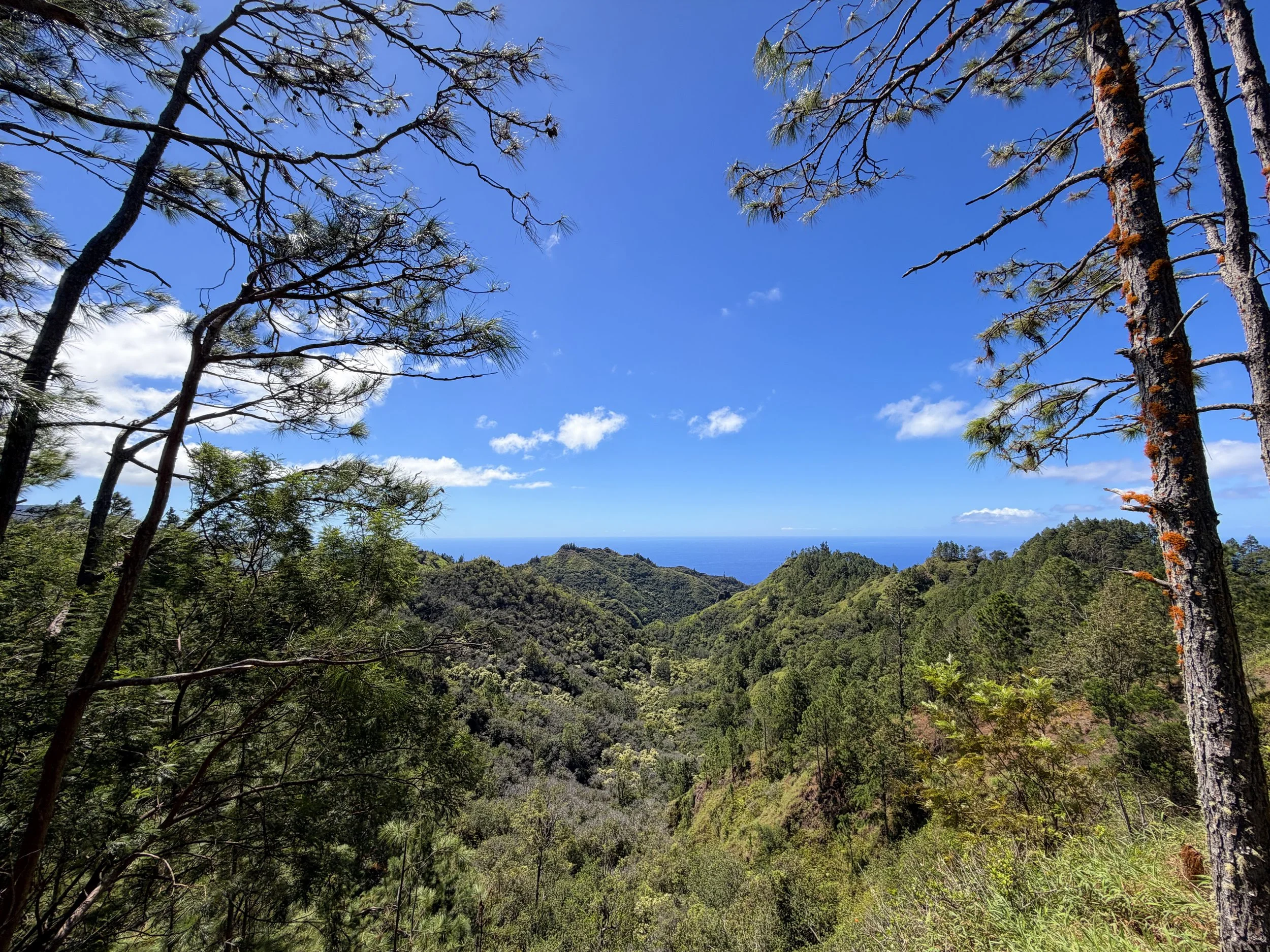 Kuaokala Trail Oahu Hawaii