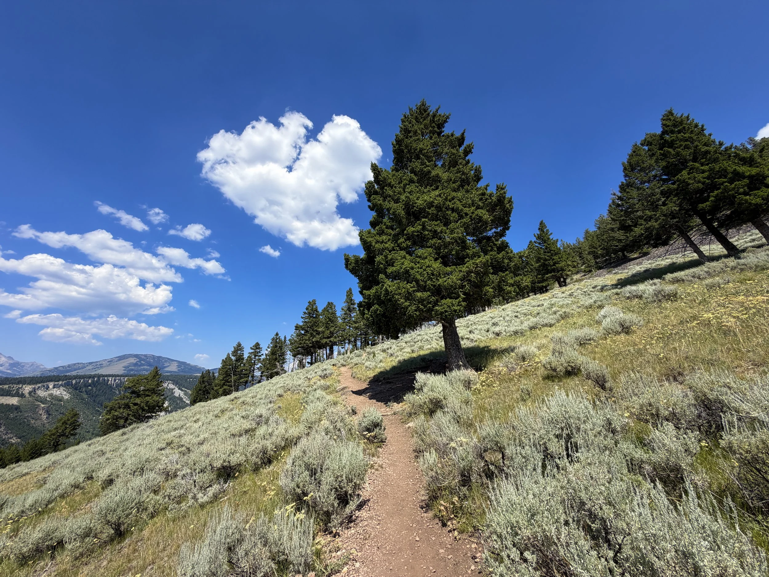 Bunsen Peak Hike Yellowstone National Park Wyoming