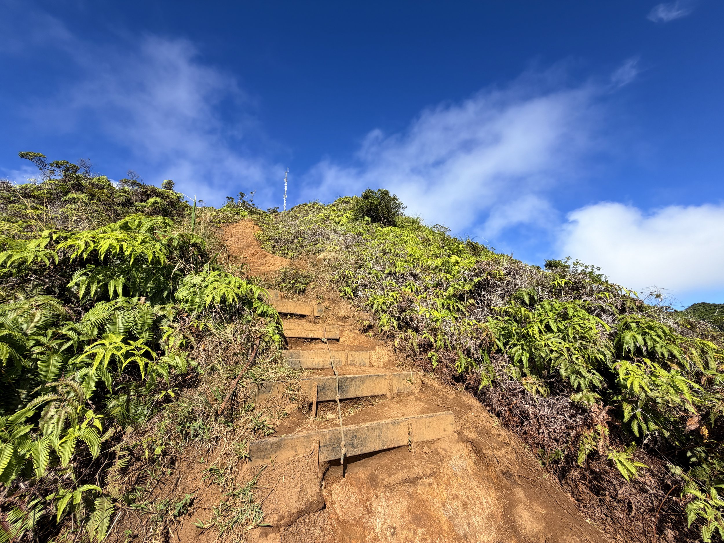 Wiliwilinui Ridge Hike Ropes Oahu Hawaii