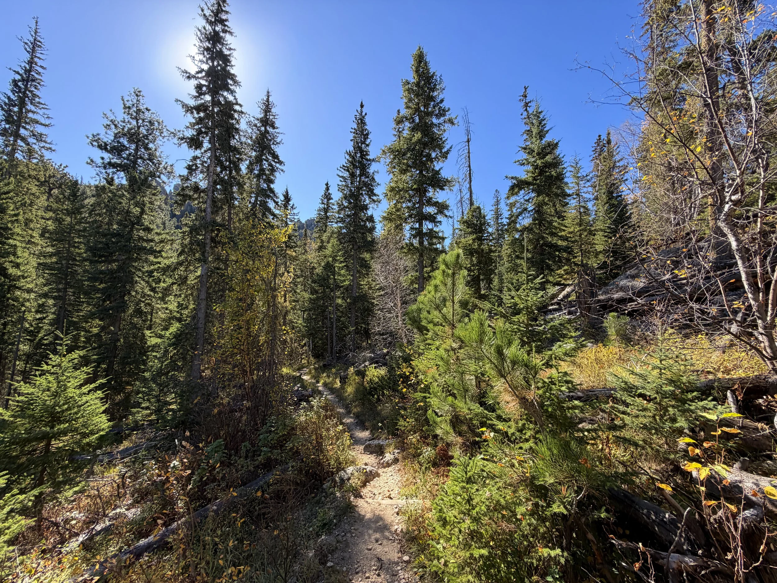 Sunday Gulch Trail Custer State Park Black Hills South Dakota