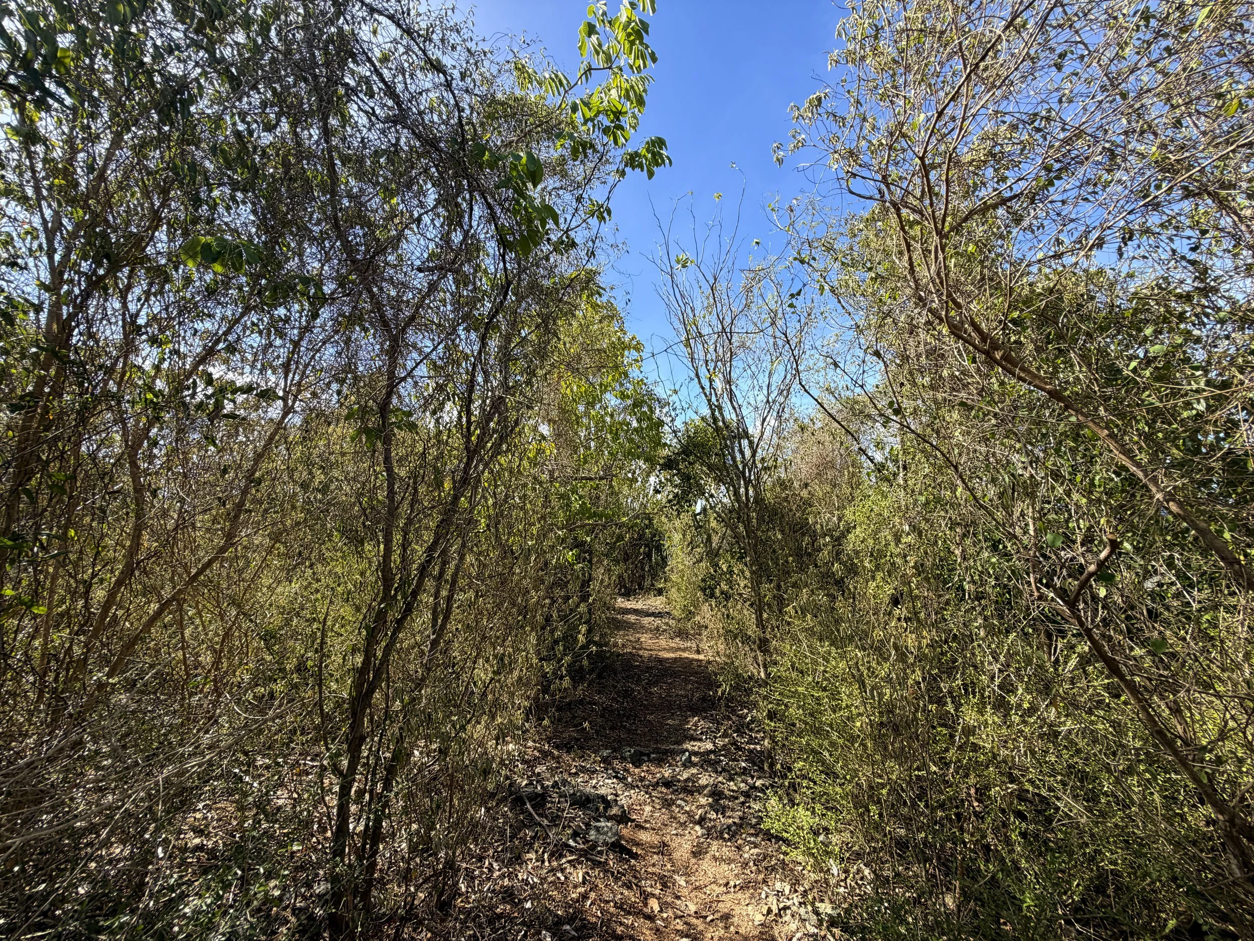 Lameshur Bay Trail to Europa Point Virgin Islands National Park