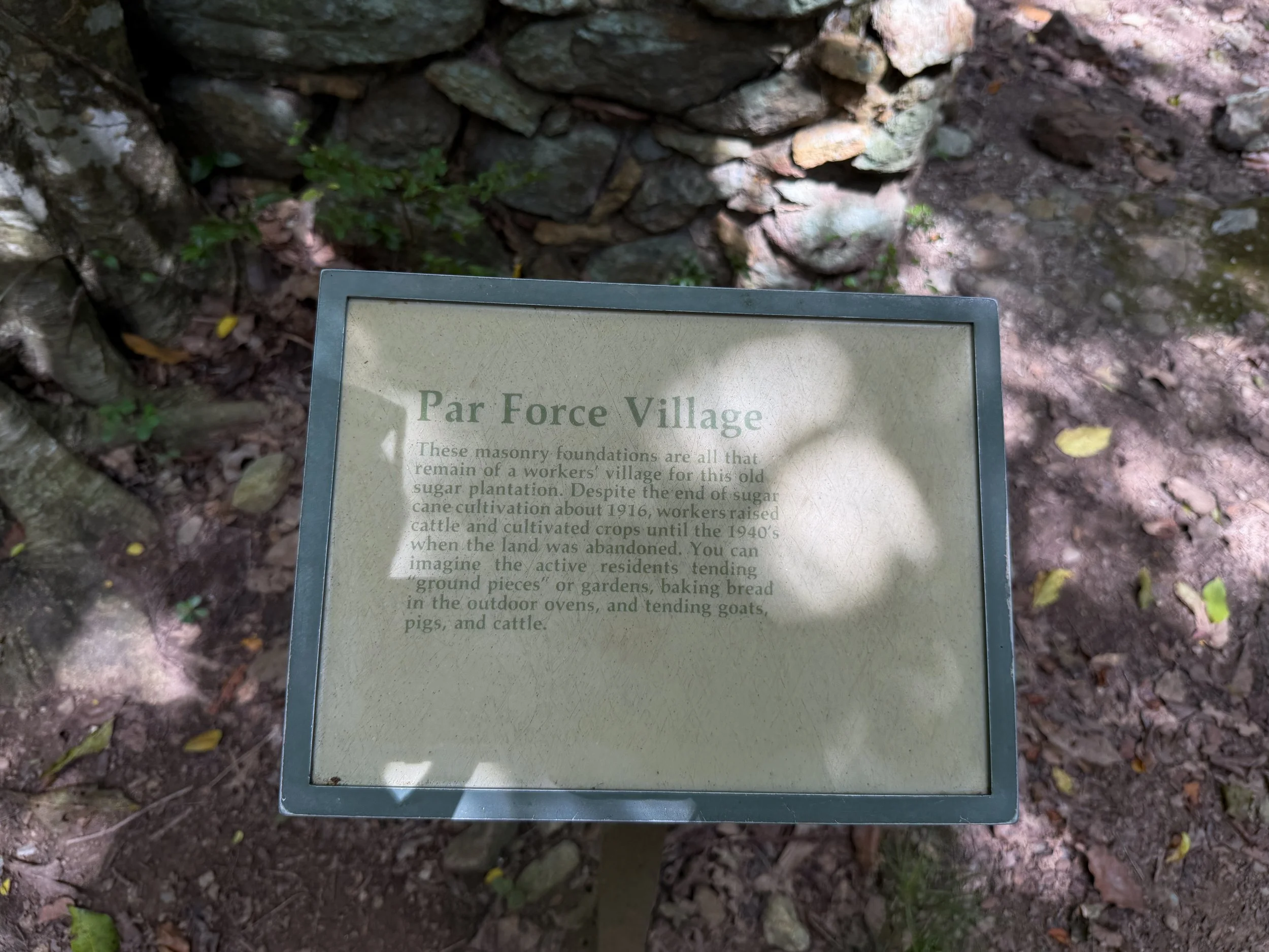 Par Force Village Reef Bay Trail Virgin Islands National Park