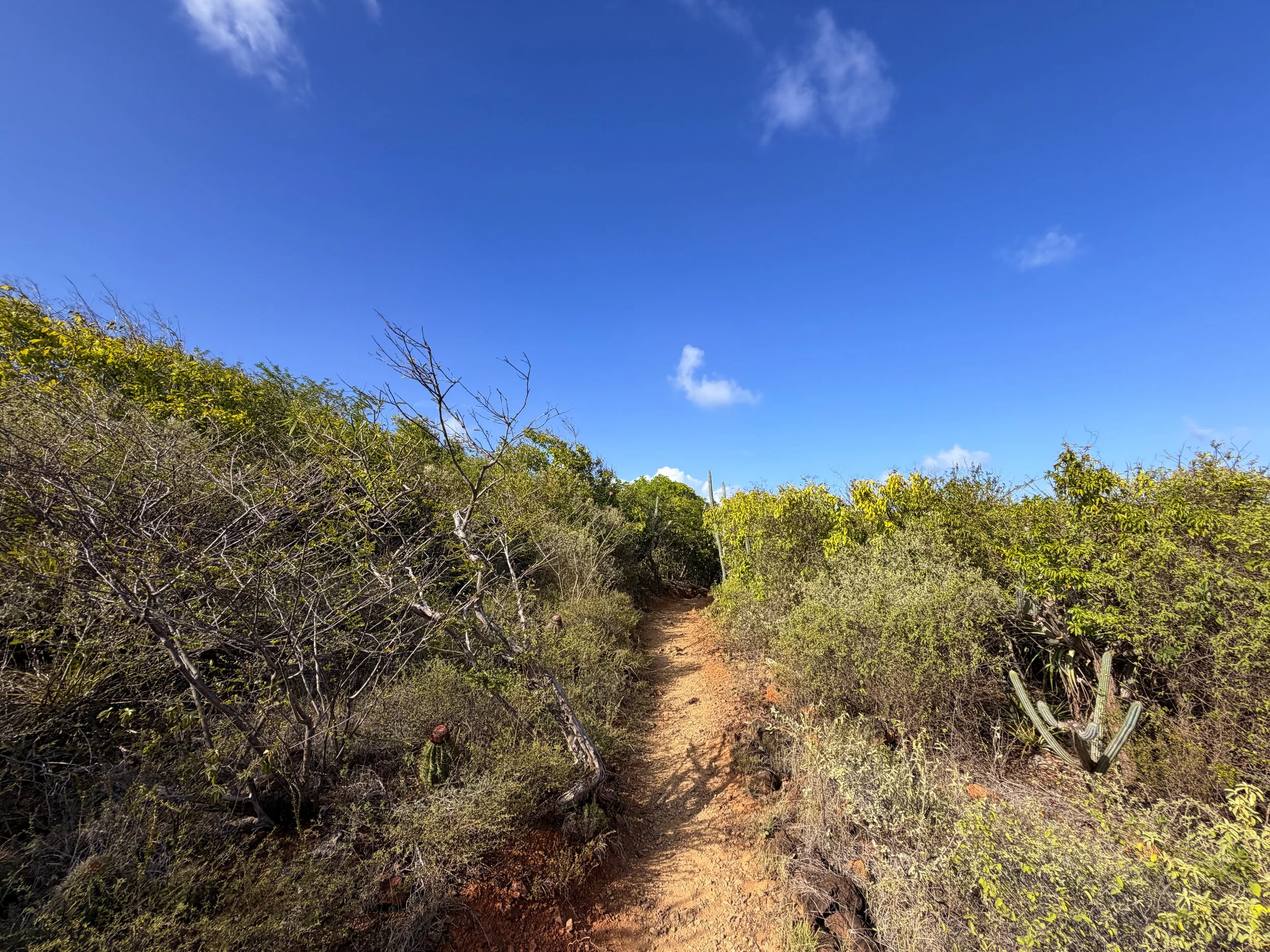 Rams Head Trail Virgin Islands National Park