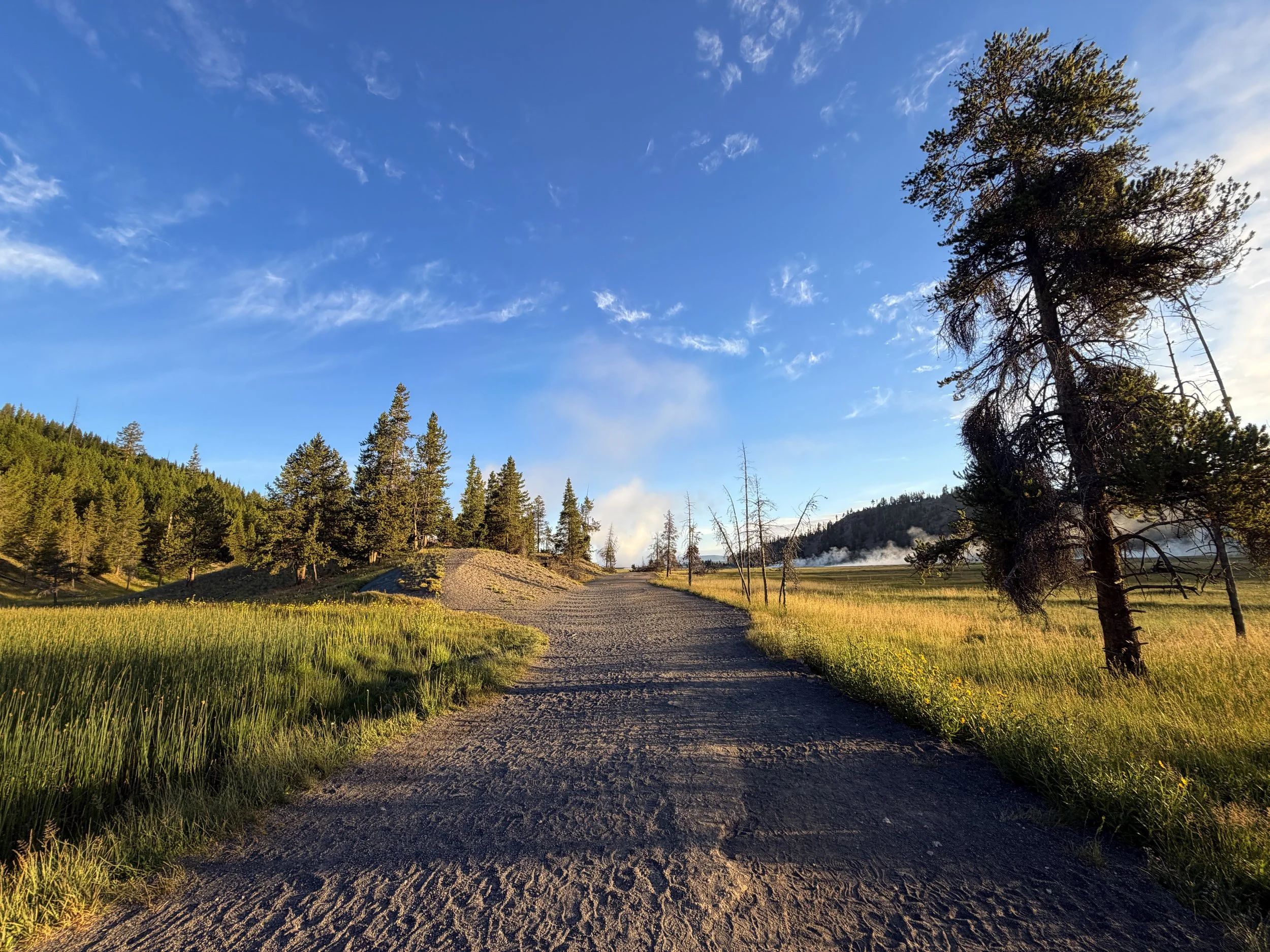 Grand Prismatic Overlook Trail Yellowstone National Park Wyoming