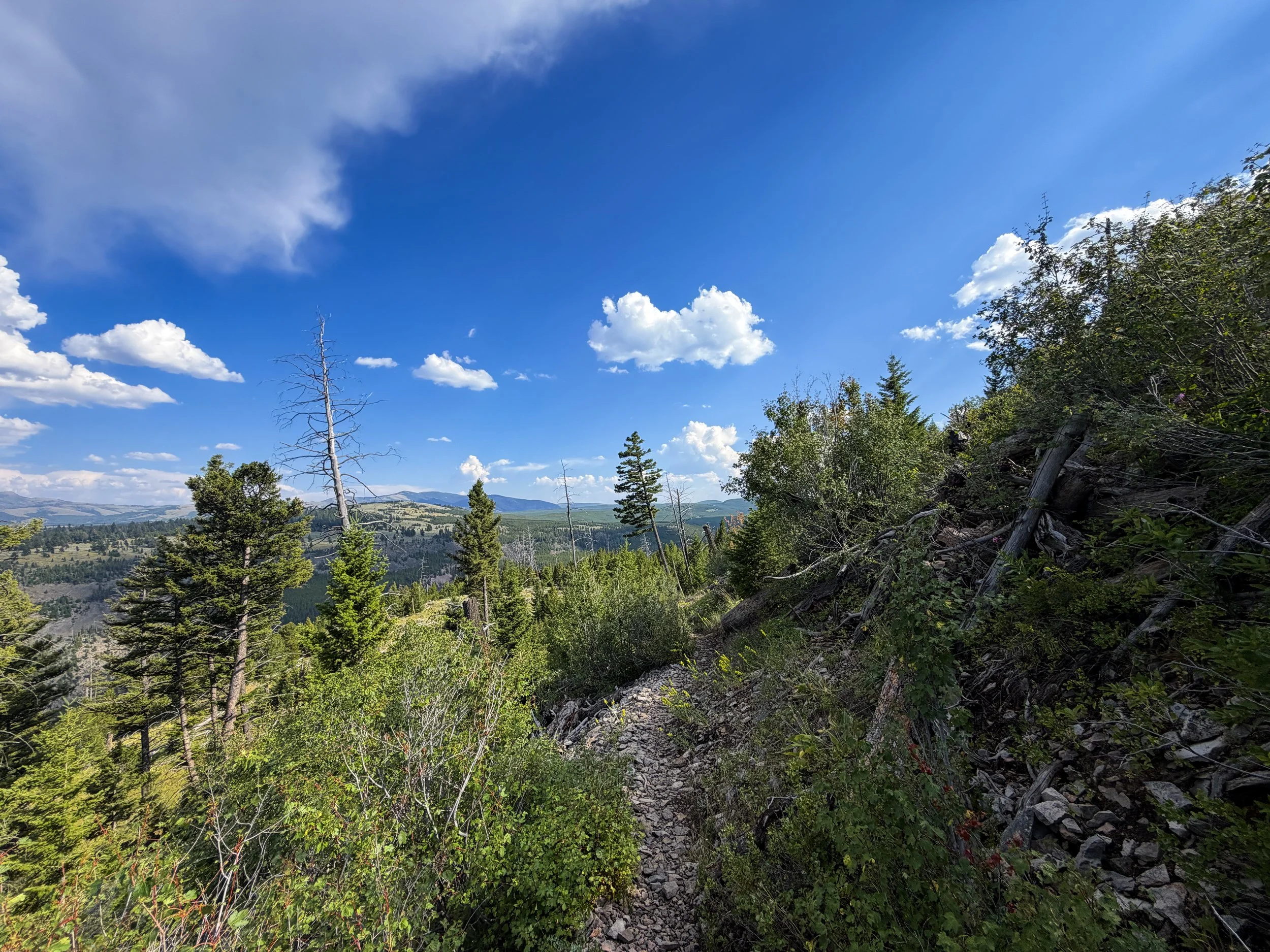Bunsen Peak Trail Yellowstone National Park Wyoming