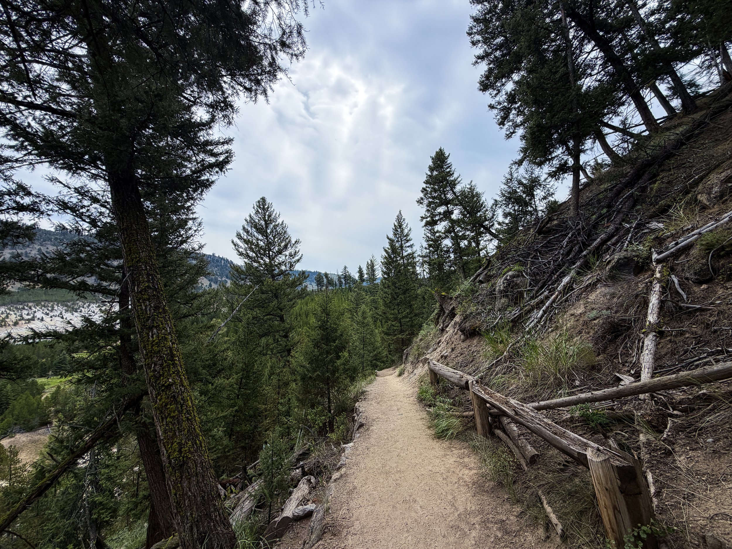 Tower Falls Hike Yellowstone National Park Wyoming
