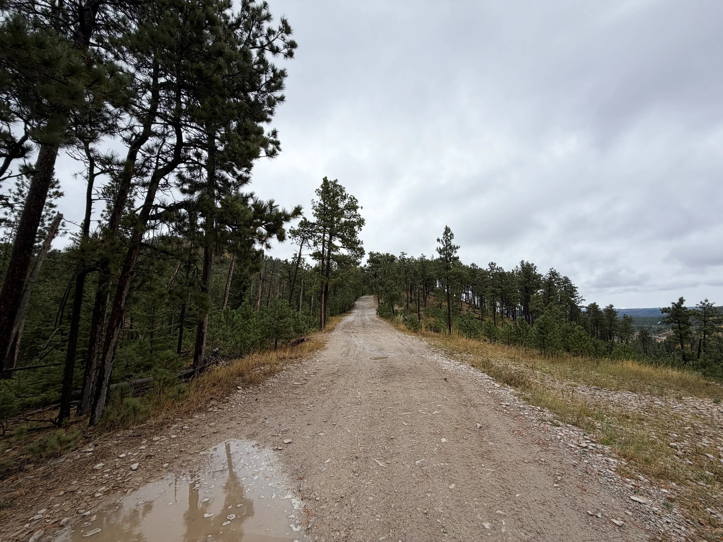 Custer Peak Fire Lookout Trail Black Hills South Dakota
