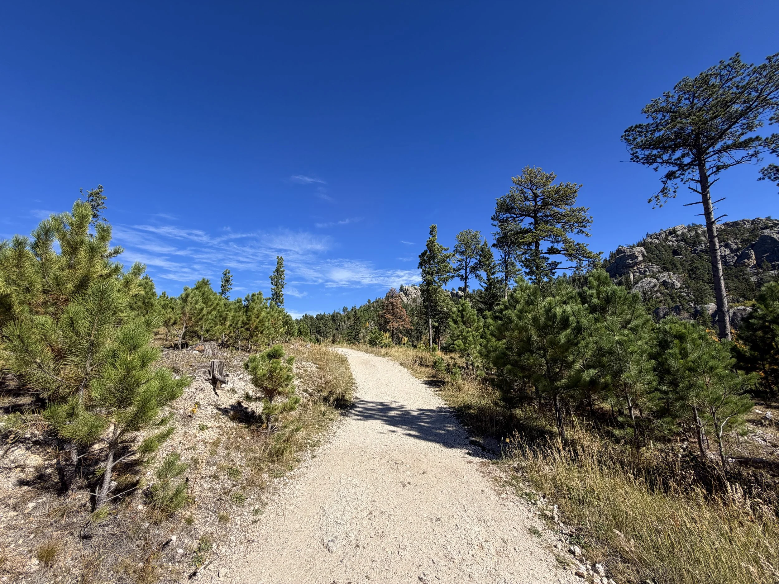 Black Elk Peak Trail Custer State Park Black Hills South Dakota