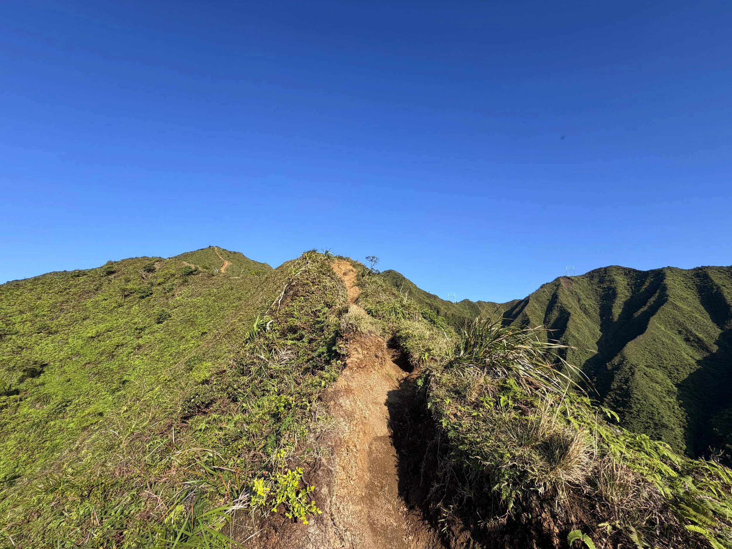 Moanalua Middle Ridge Trail Back Way to the Stairway to Heaven Oahu Hawaii