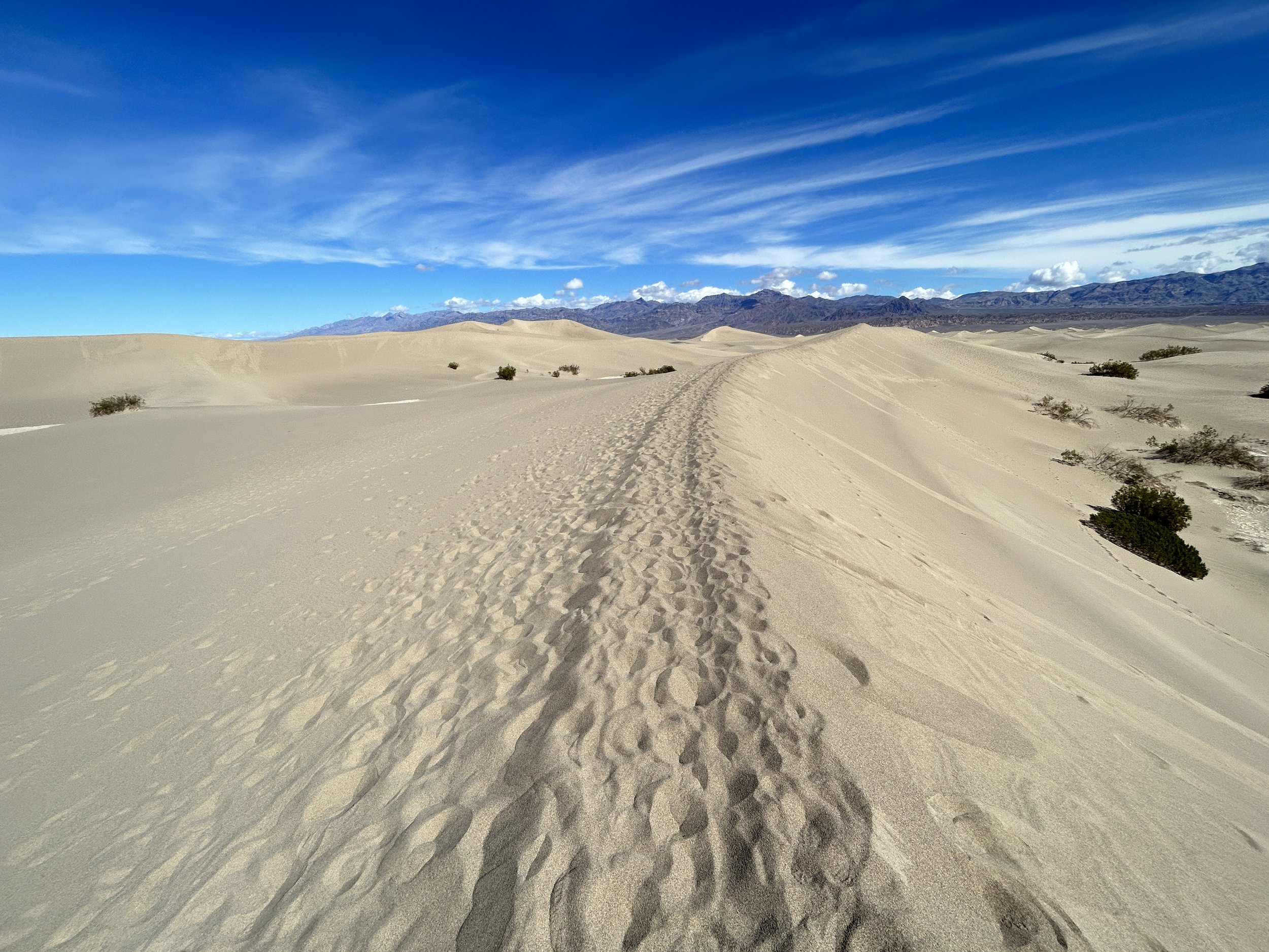 Sand Dunes - Death Valley National Park (U.S. National Park Service)