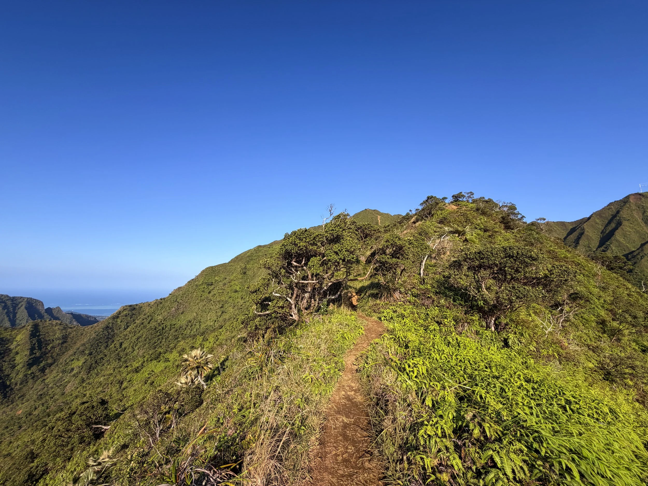 Moanalua Middle Ridge Trail to Stairway to Heaven Oahu Hawaii