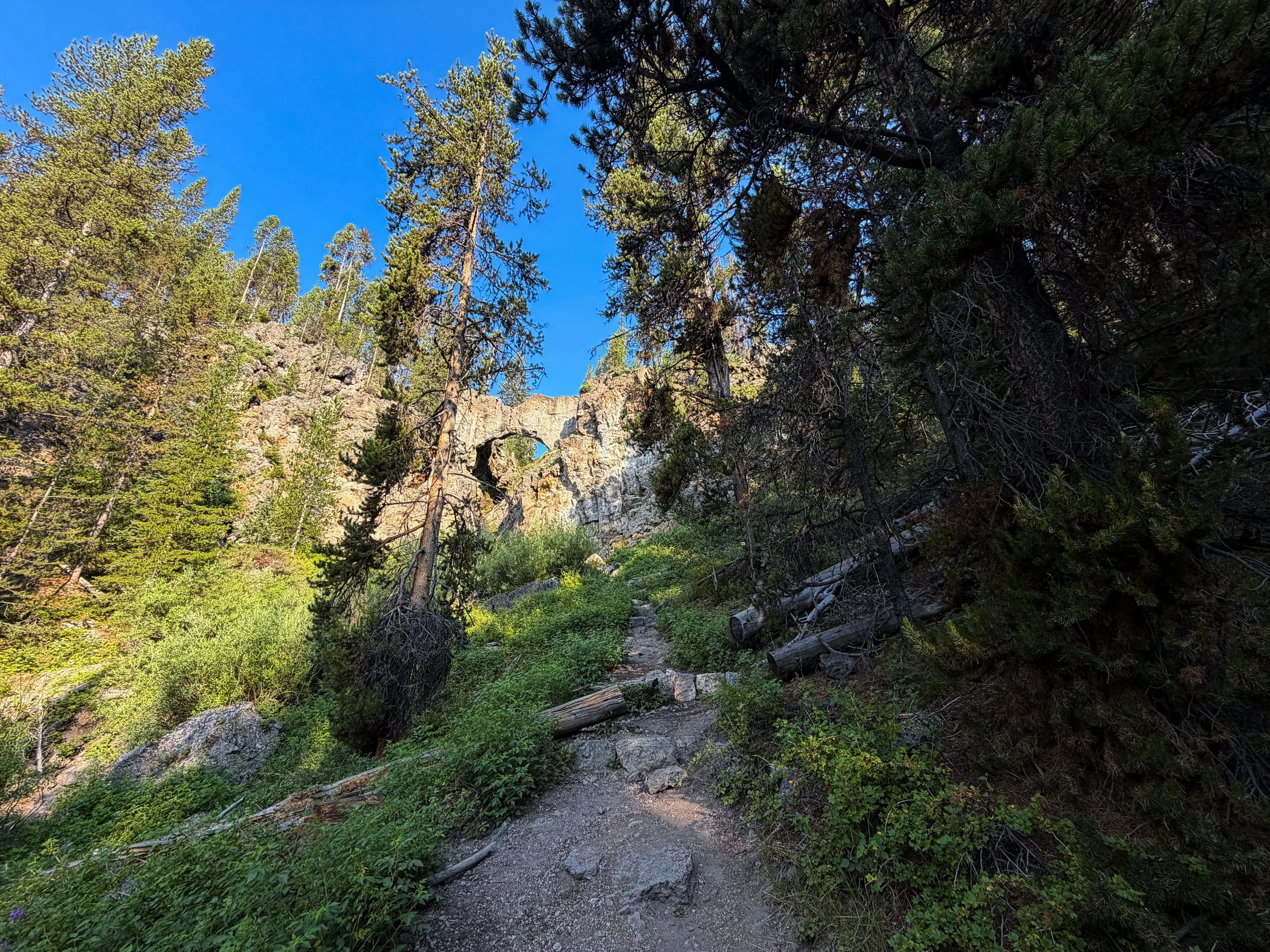 Natural Bridge Trail Yellowstone National Park Wyoming
