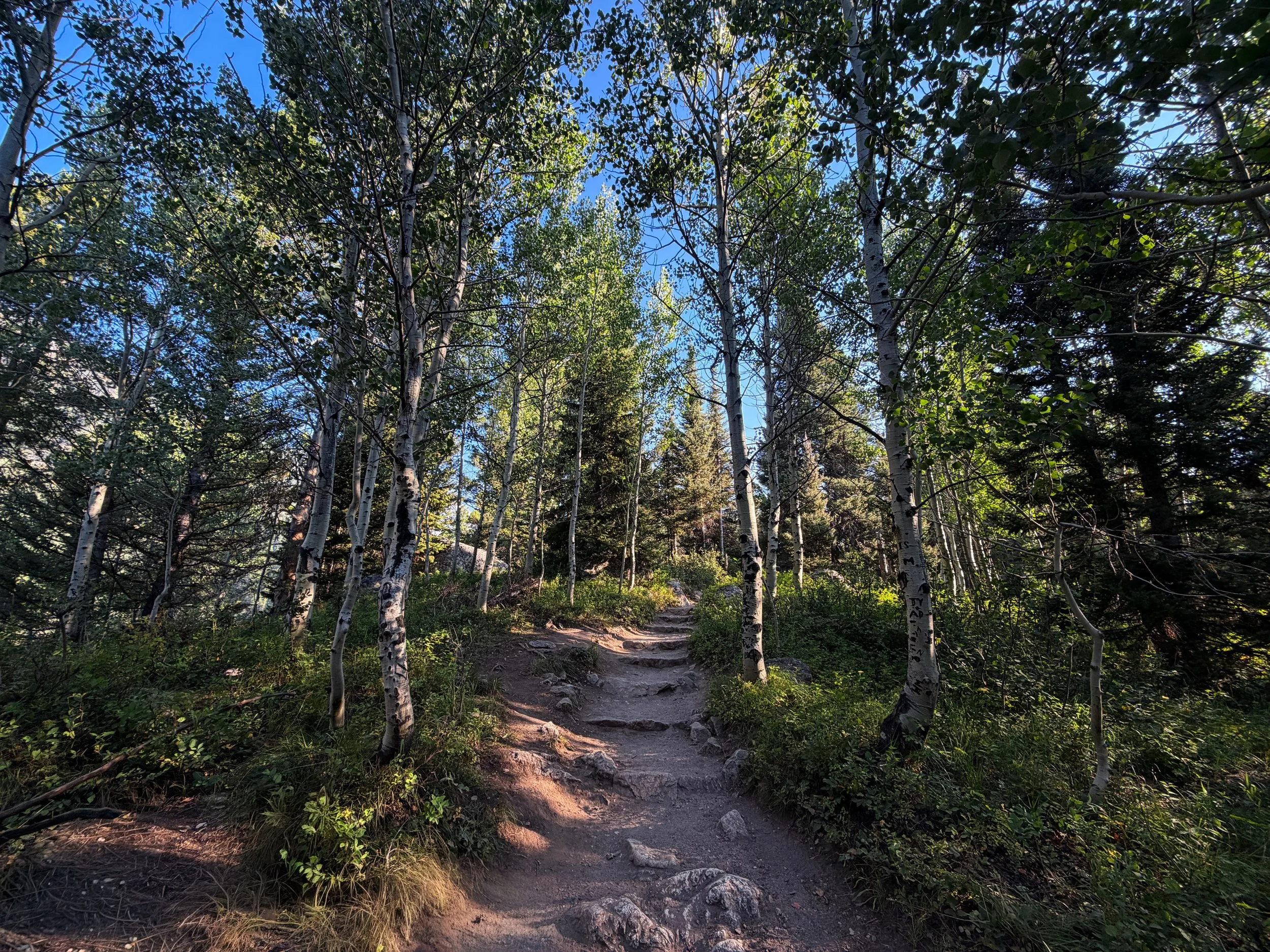 Hidden Falls via Jenny Lake Trail Grand Teton National Park Wyoming