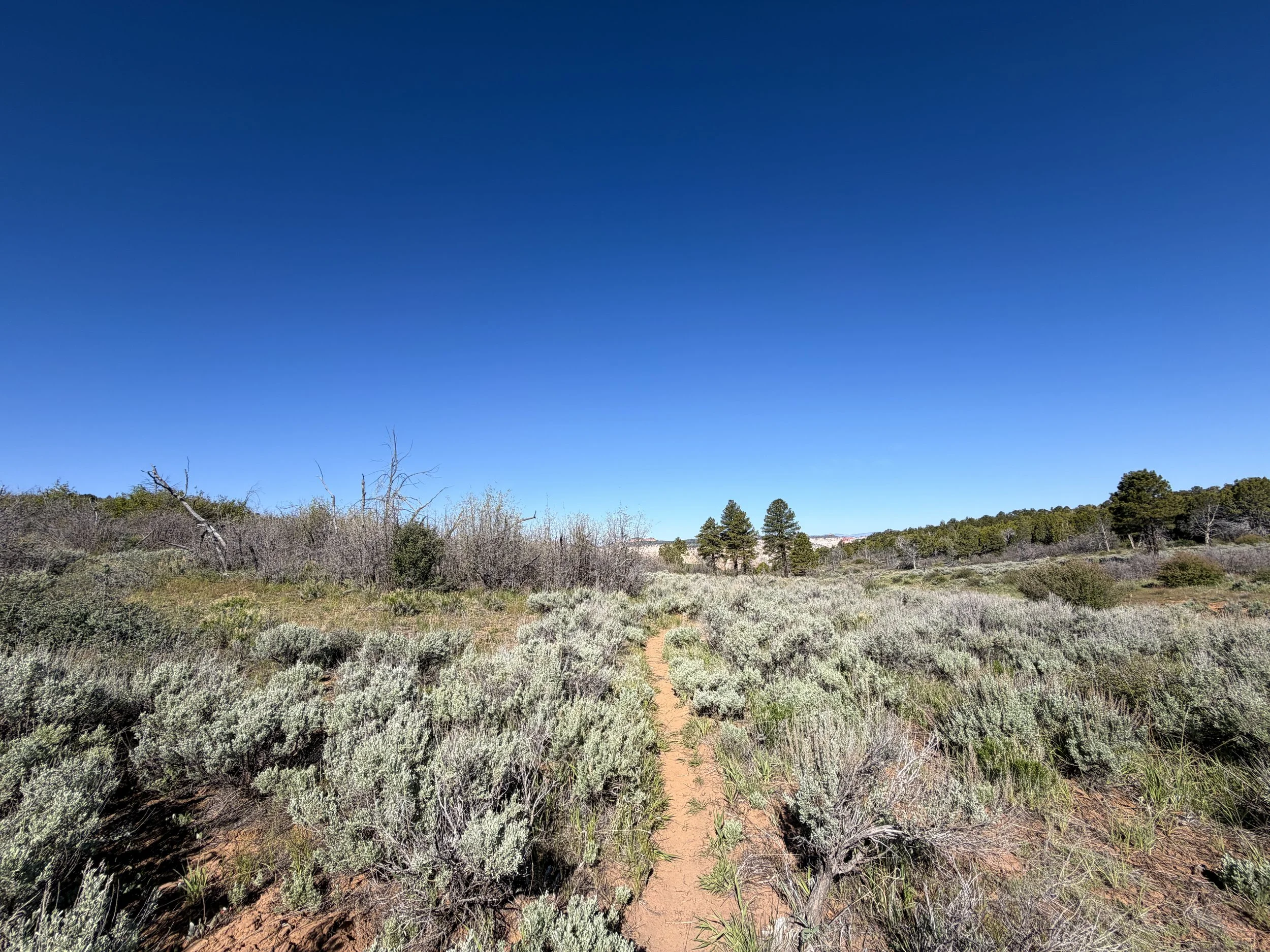 Deertrap Mountain Hike Zion National Park Utah