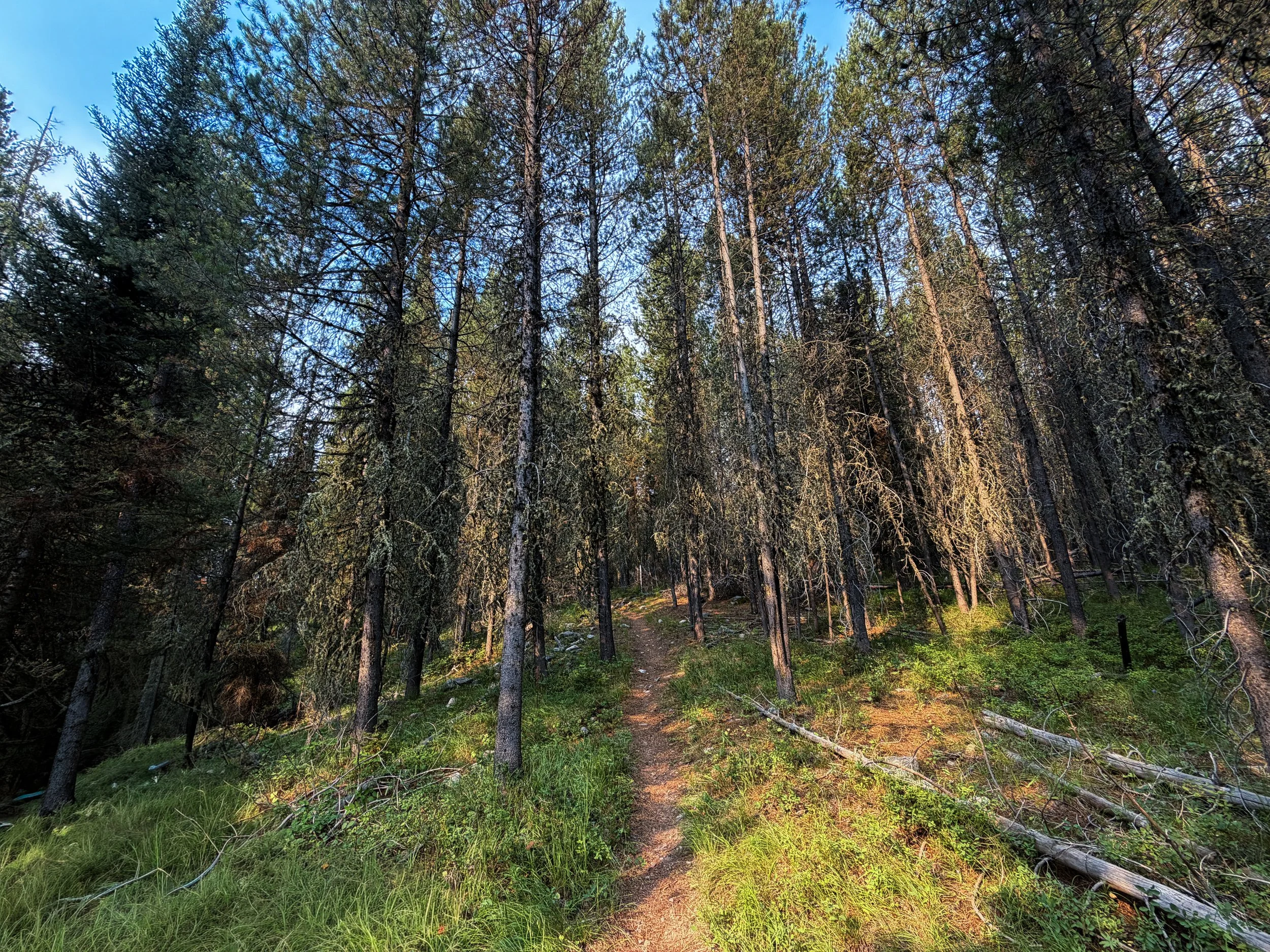 Boulder Aspen Ridge Loop Trail Grand Teton National Park Wyoming