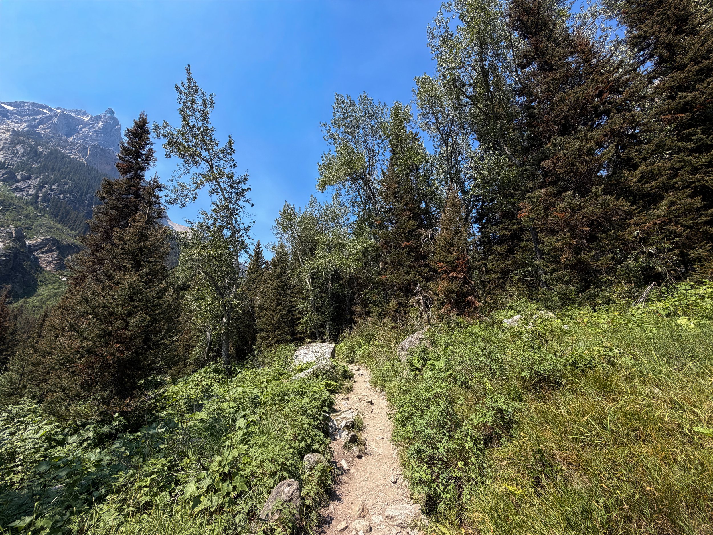 Cascade Canyon Trail Grand Teton National Park Wyoming