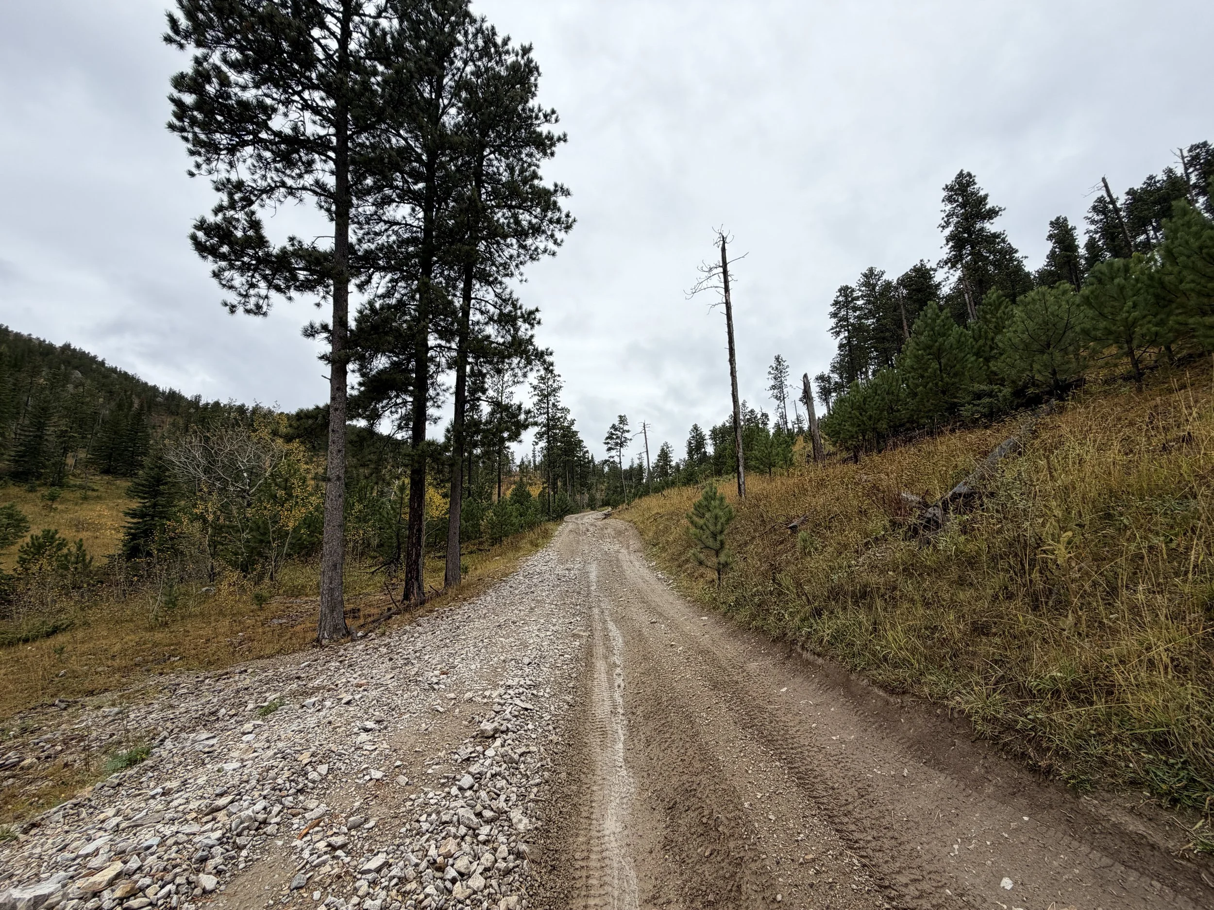 Custer Peak Lookout Trail Black Hills South Dakota