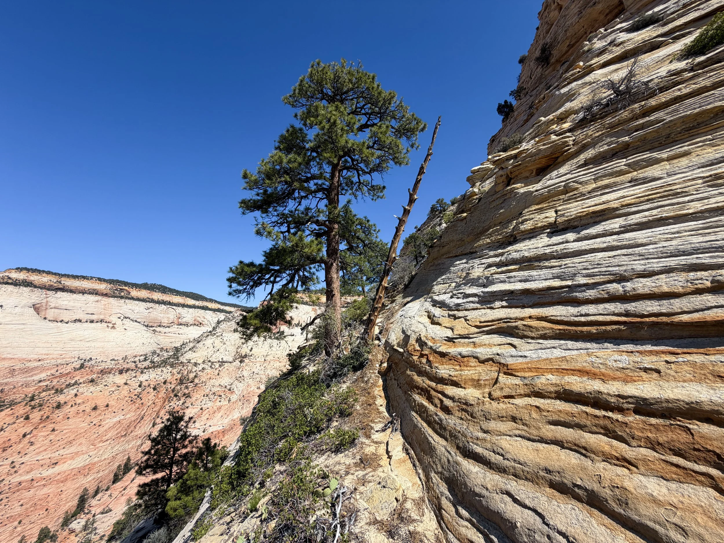 South Ariel Peak Hike Zion National Park Utah