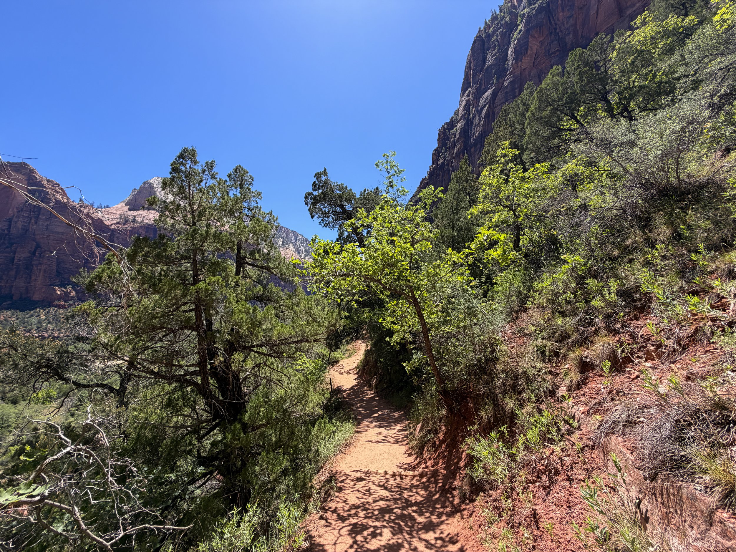 Emerald Pools Trail Zion National Park Utah