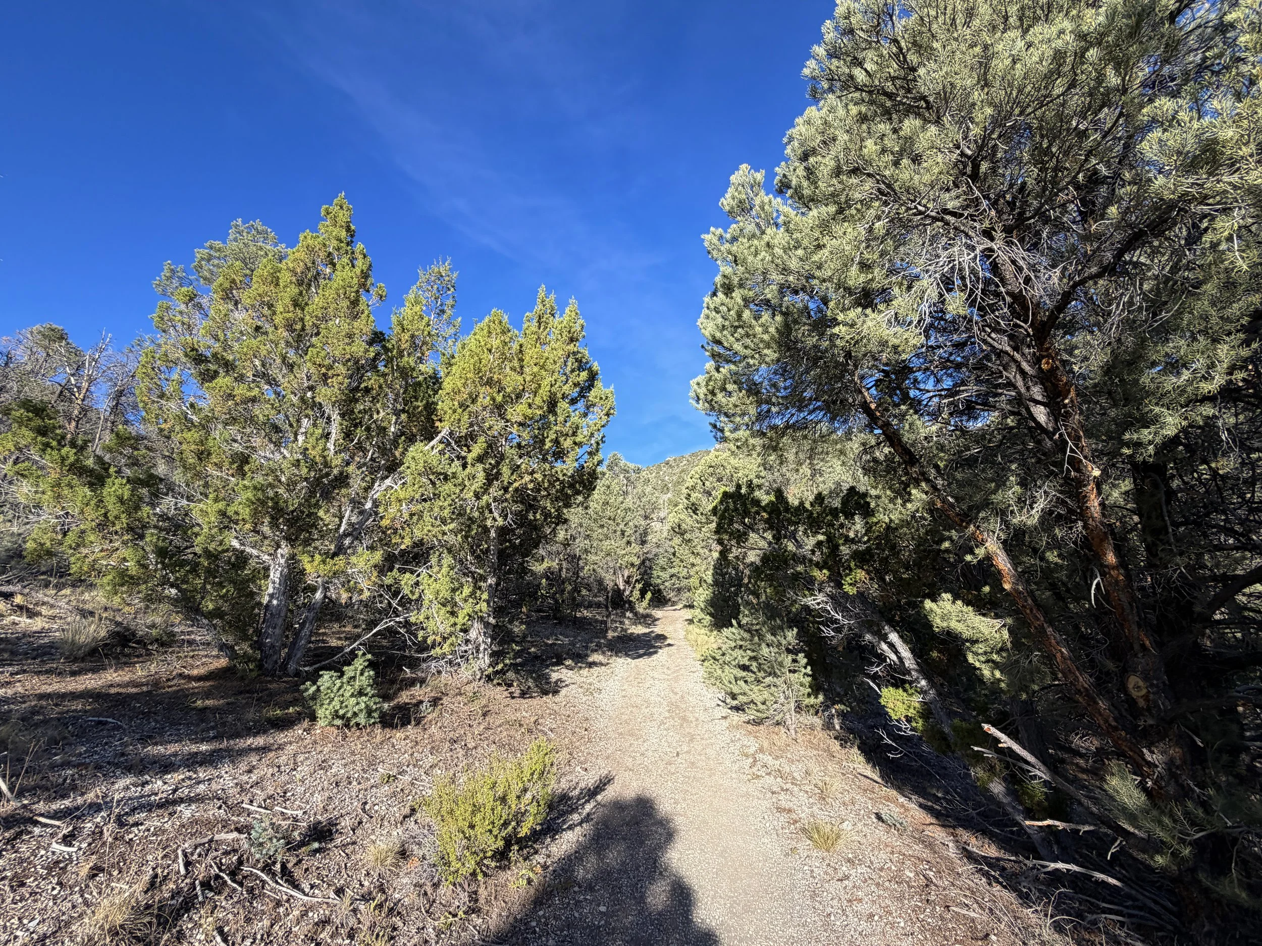 Pole Canyon Trail Great Basin National Park Nevada