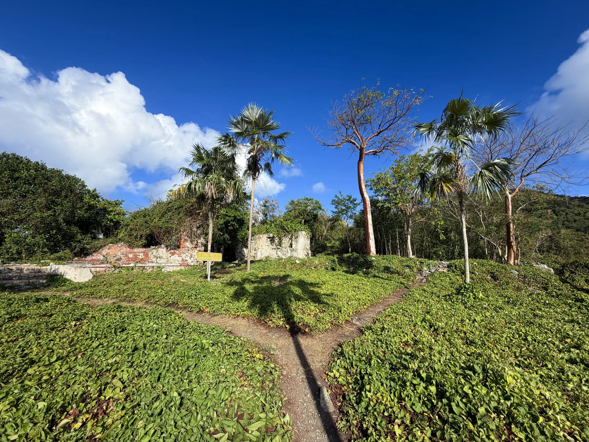 America Hill Ruins Virgin Islands National Park